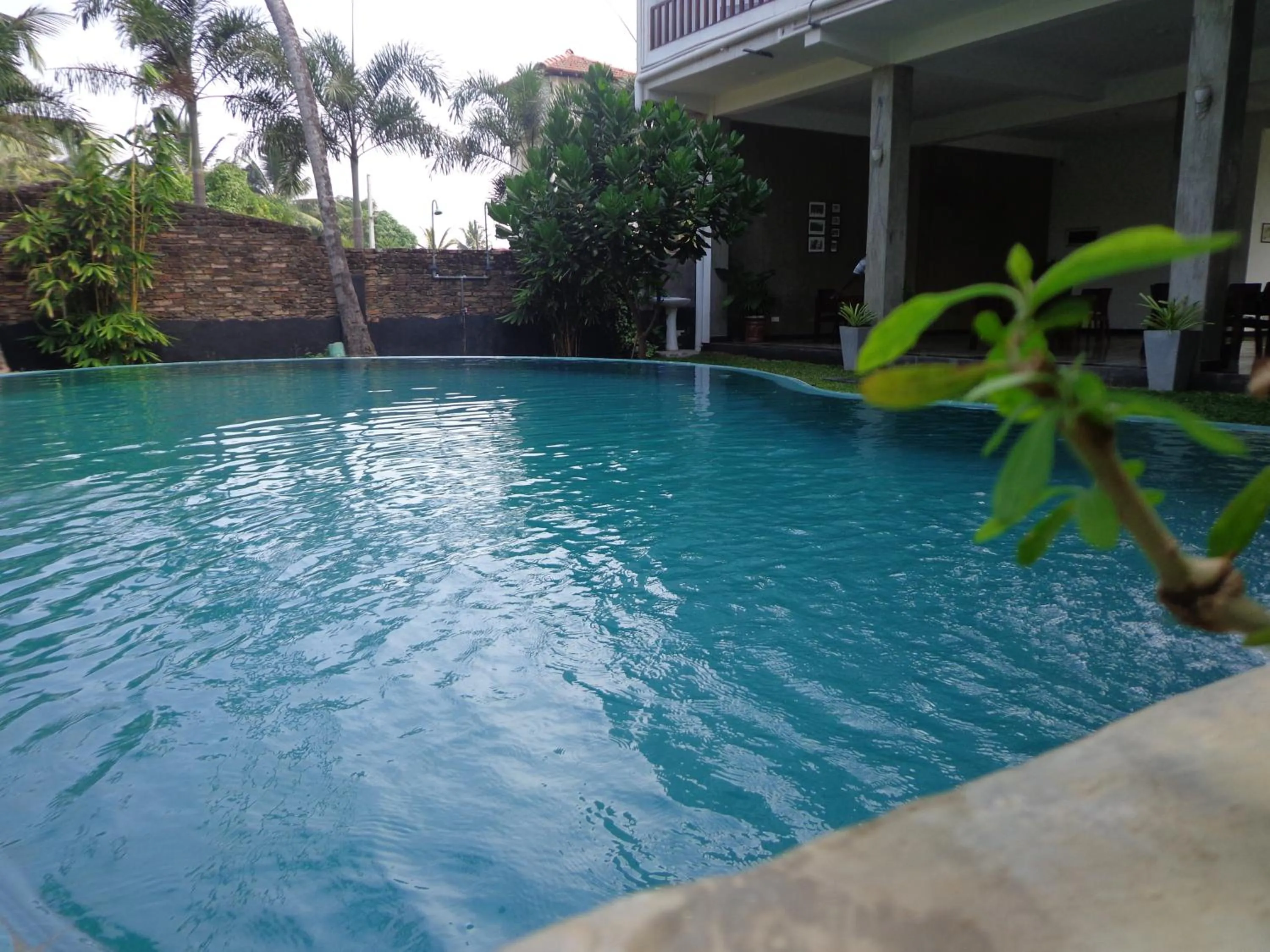 Swimming pool in Hotel Star White - Negombo