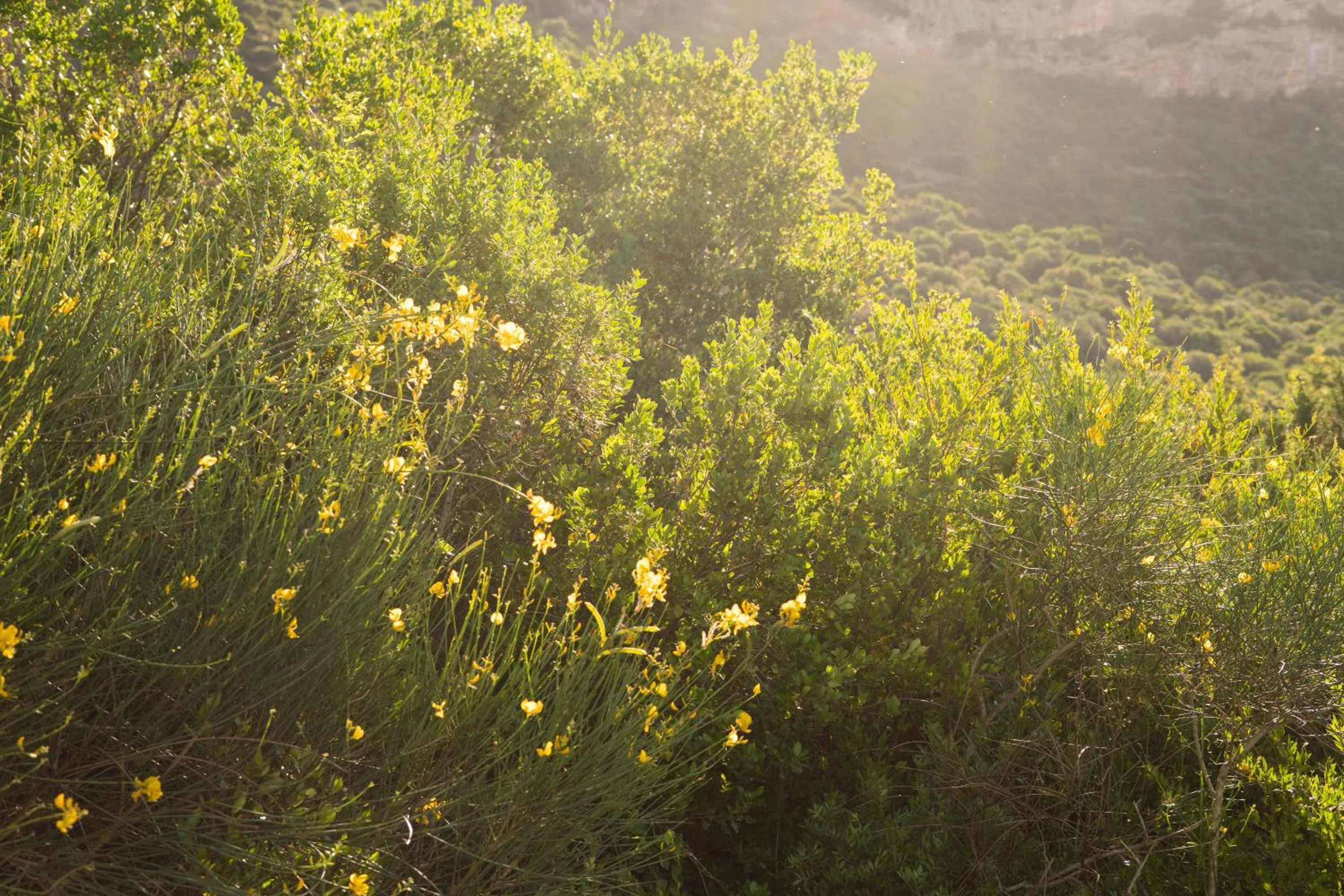 Natural landscape in il cannito