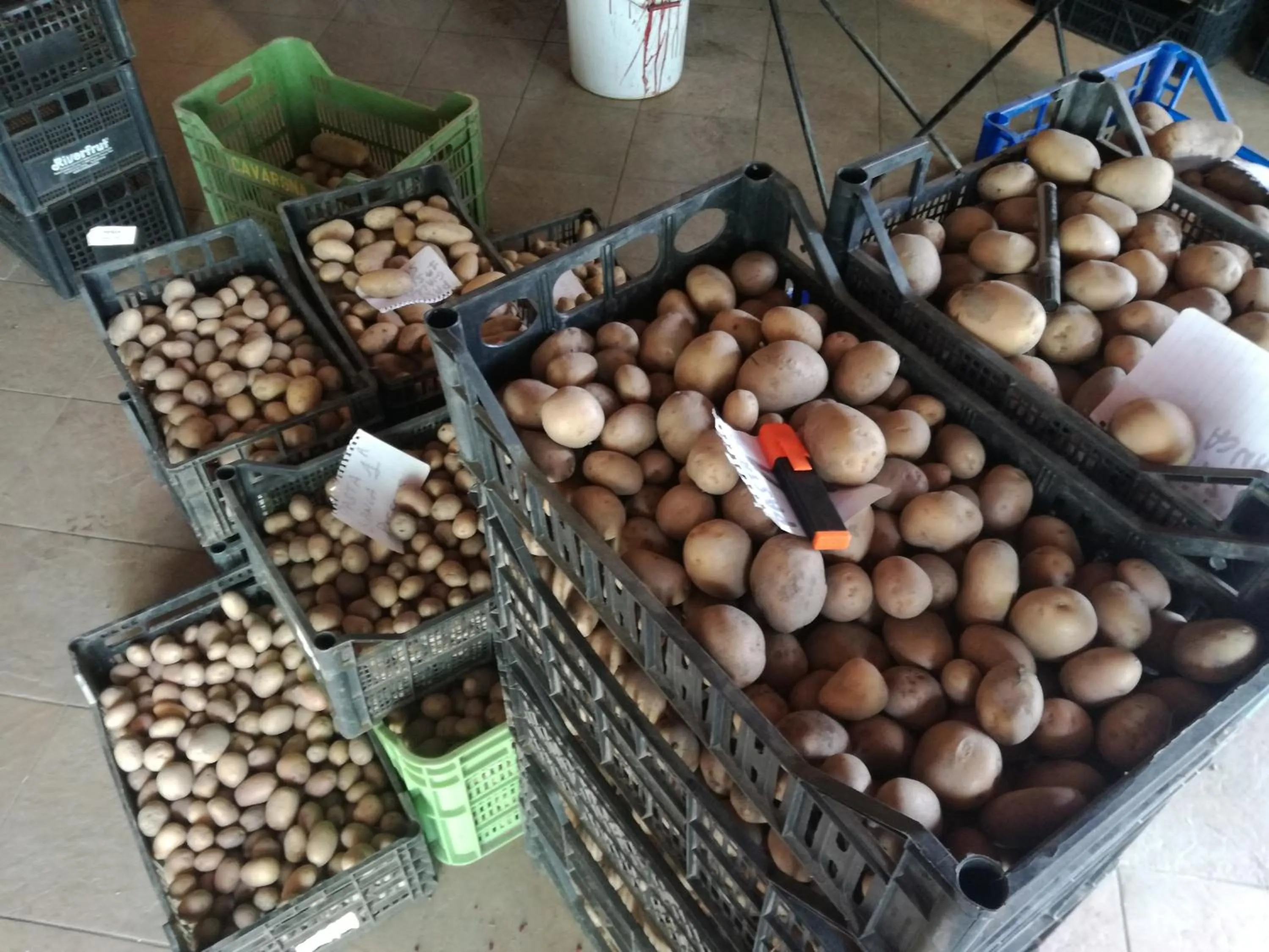 Food in B&B Rocciamelone