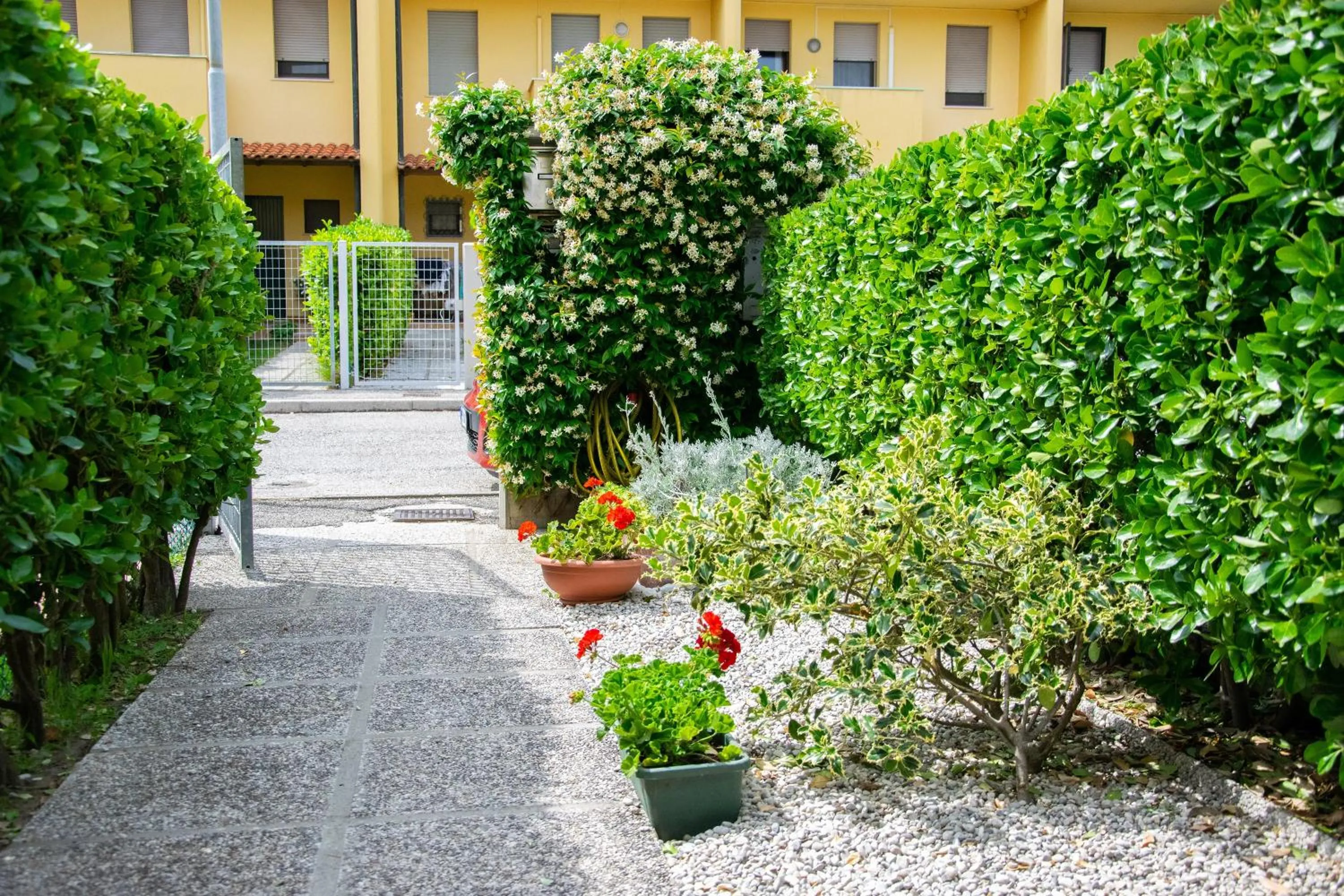 B&B Il Glicine Fiorito