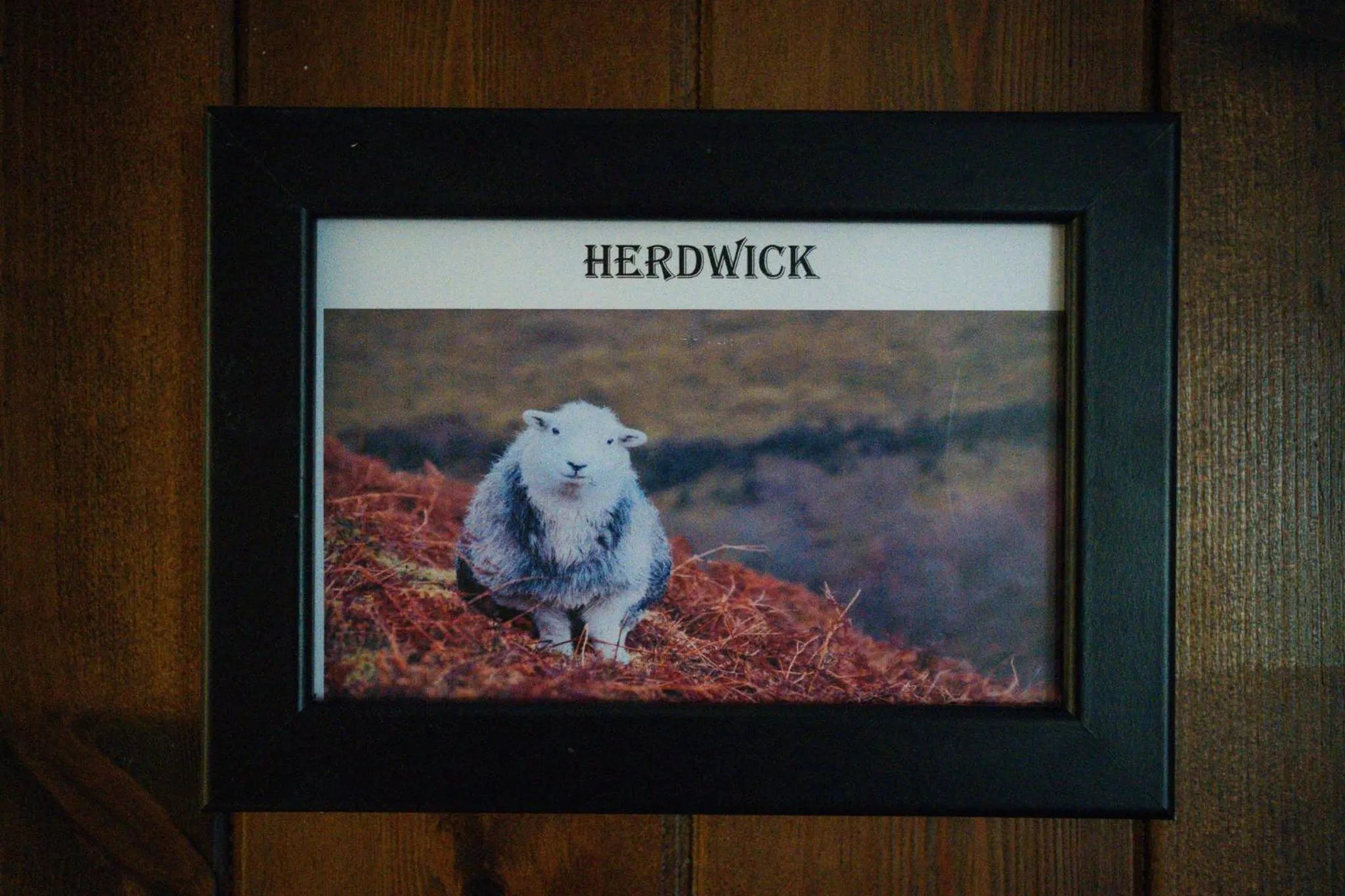 The Shepherds Inn, Langwathby