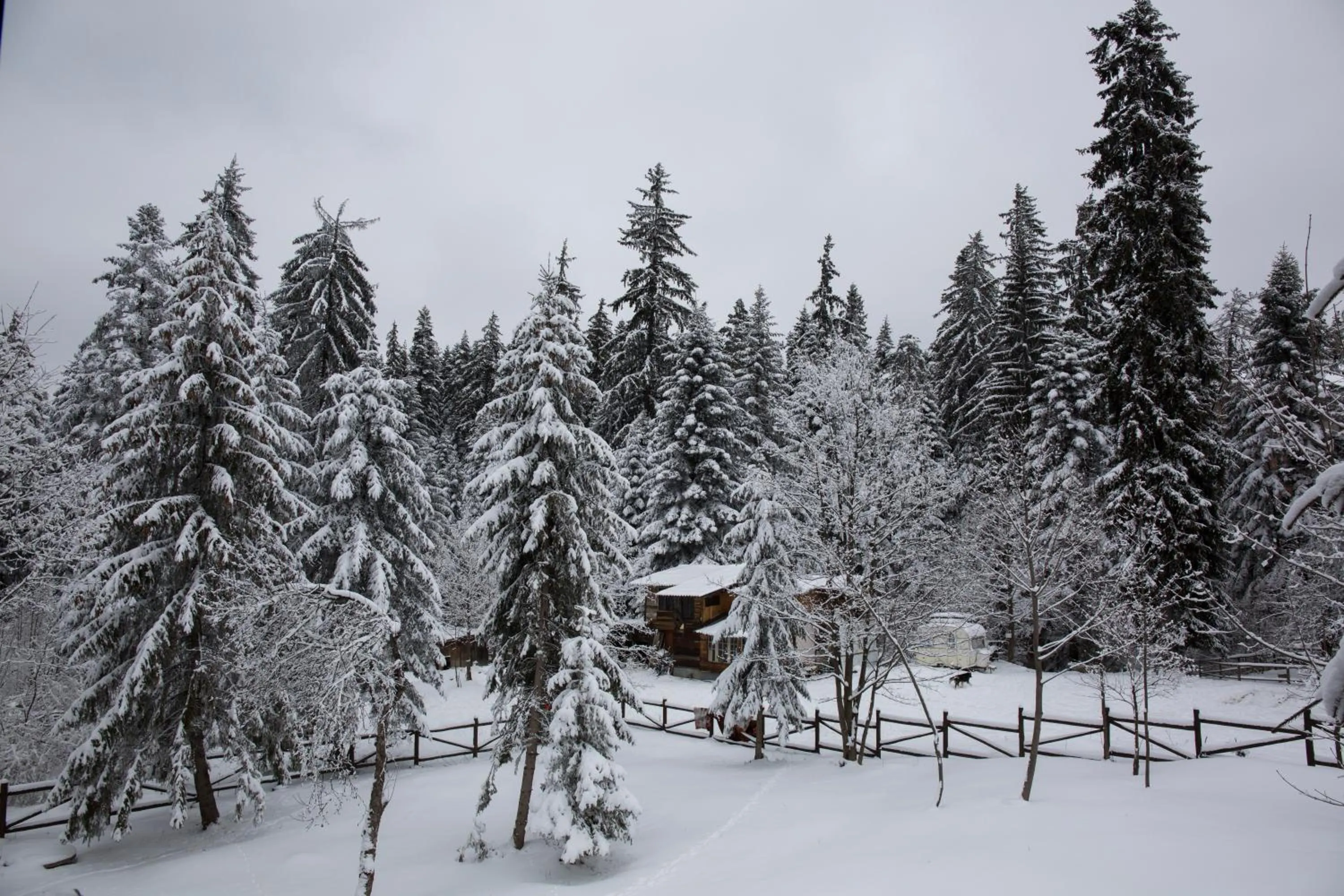View (from property/room) in Victoria Hotel Borovets - Free Parking