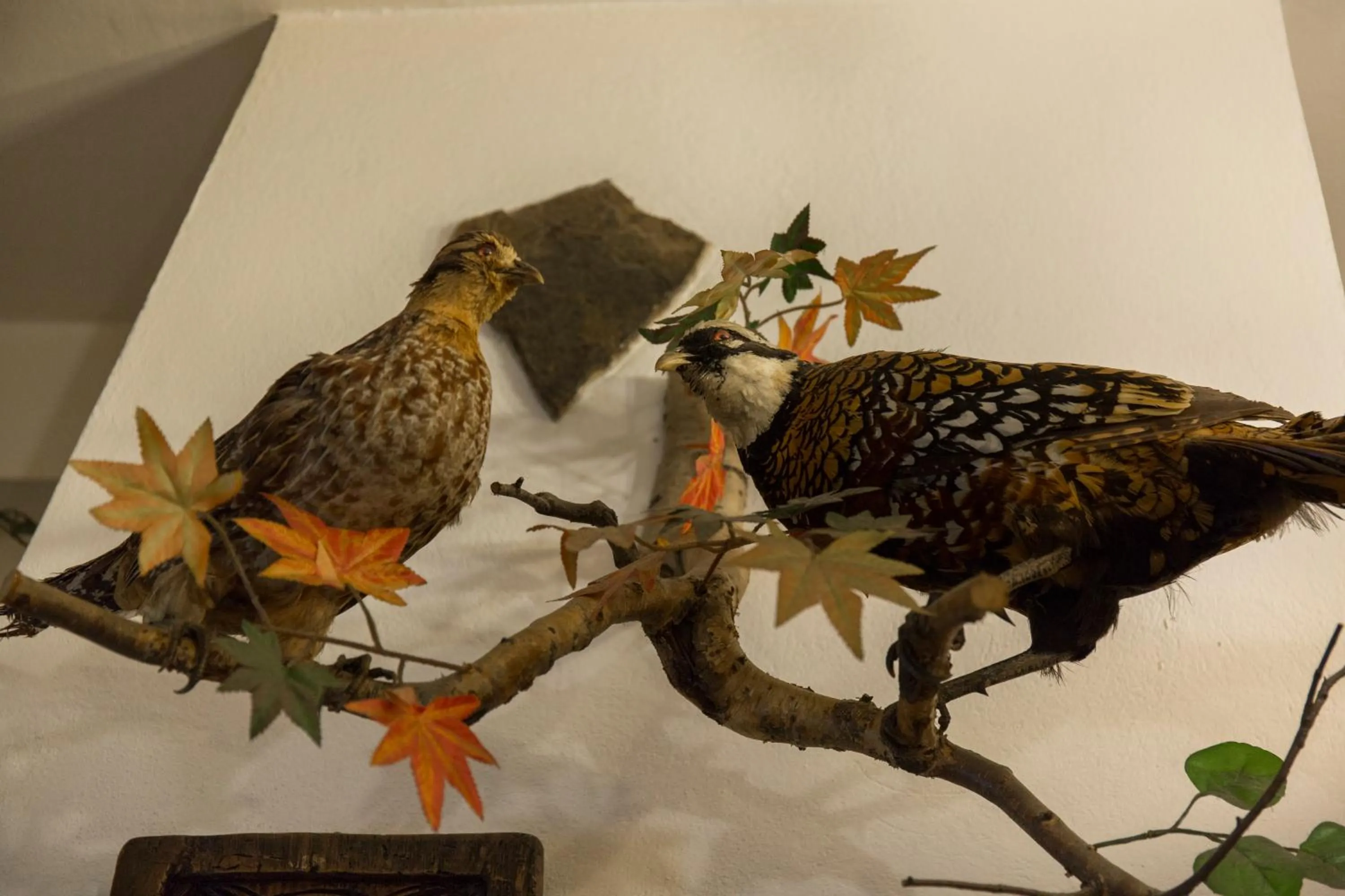 Restaurant/places to eat in Victoria Hotel Borovets - Free Parking