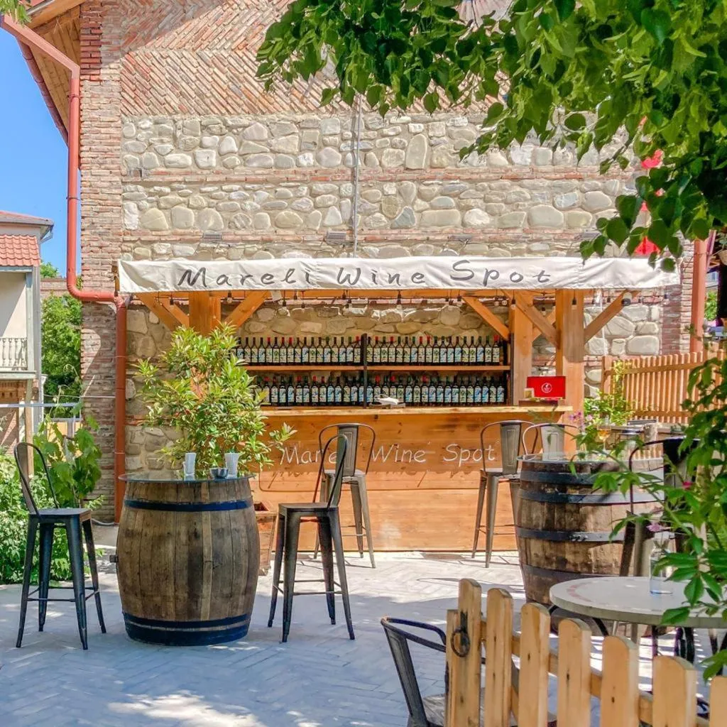 Lounge or bar in Hotel Tela & Mareli Winery