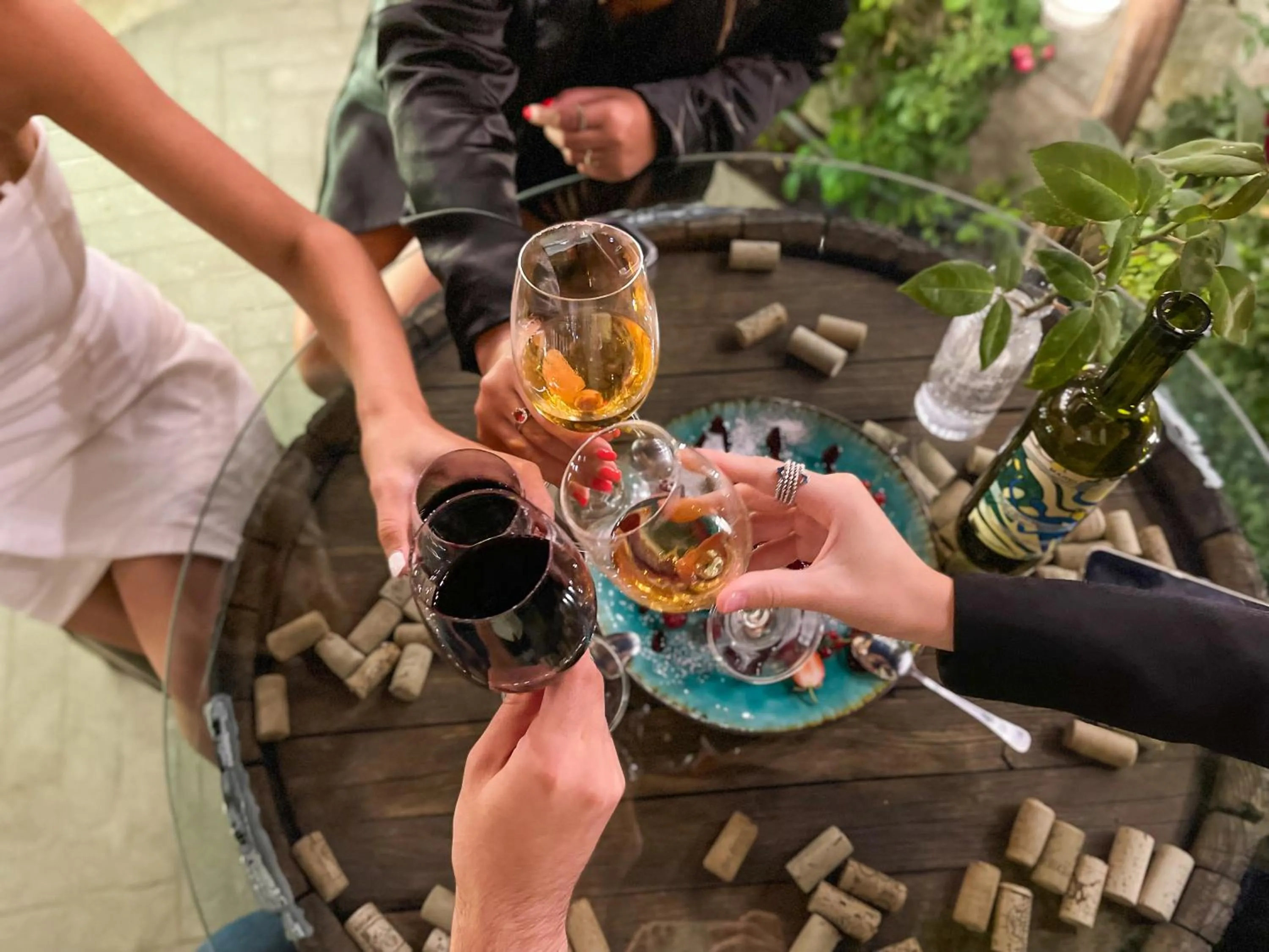 Lounge or bar in Hotel Tela & Mareli Winery