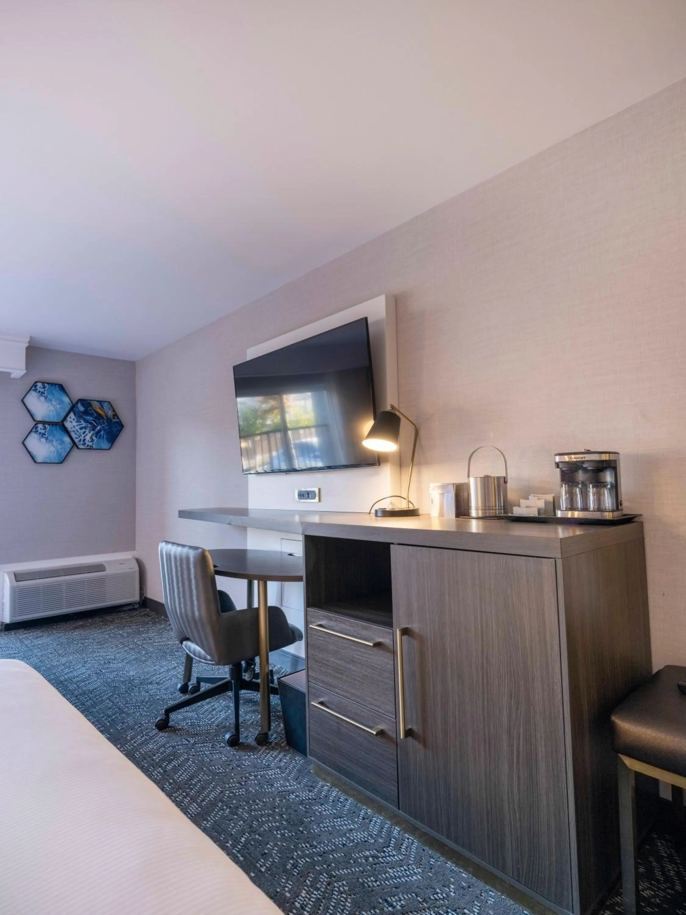 TV and multimedia in Premiere Suites