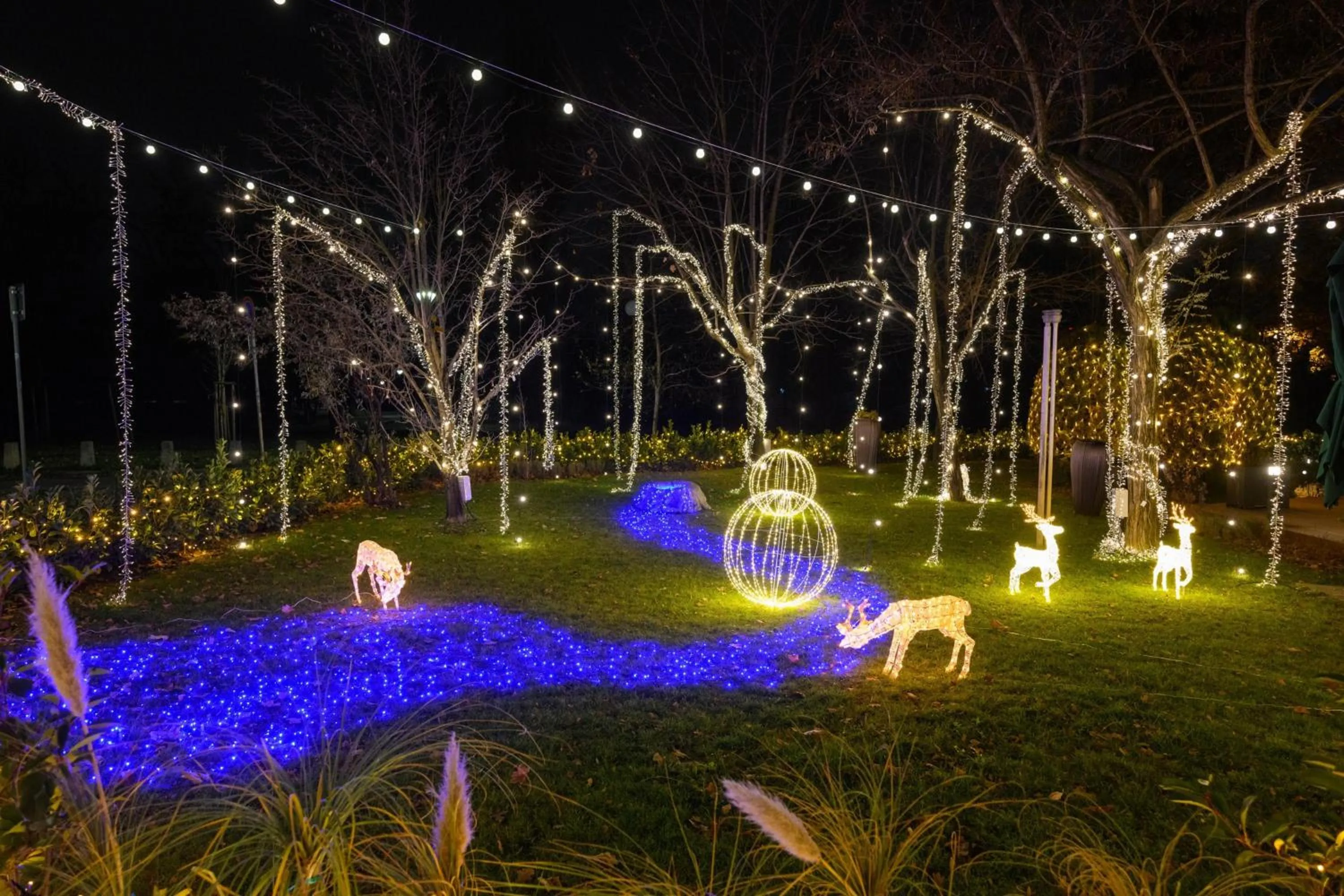 View (from property/room) in Hilton Sofia