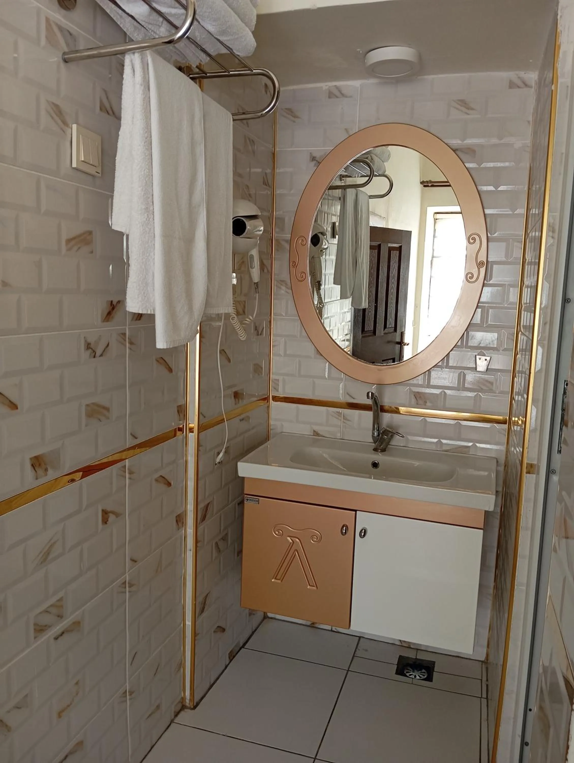 Shower in Aslan Guest House