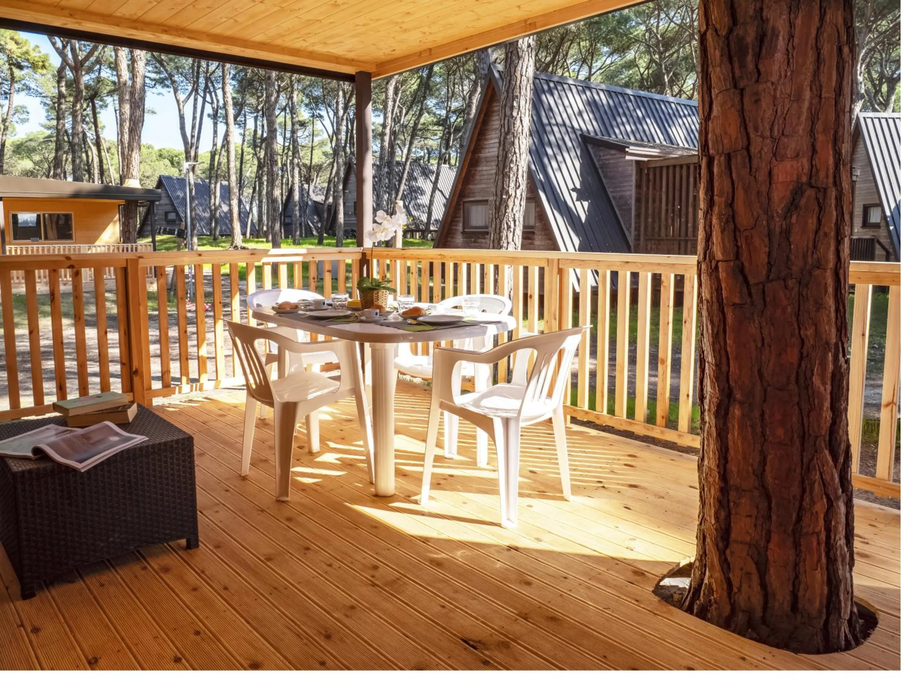 Property building in Club del Sole Spina Family Collection