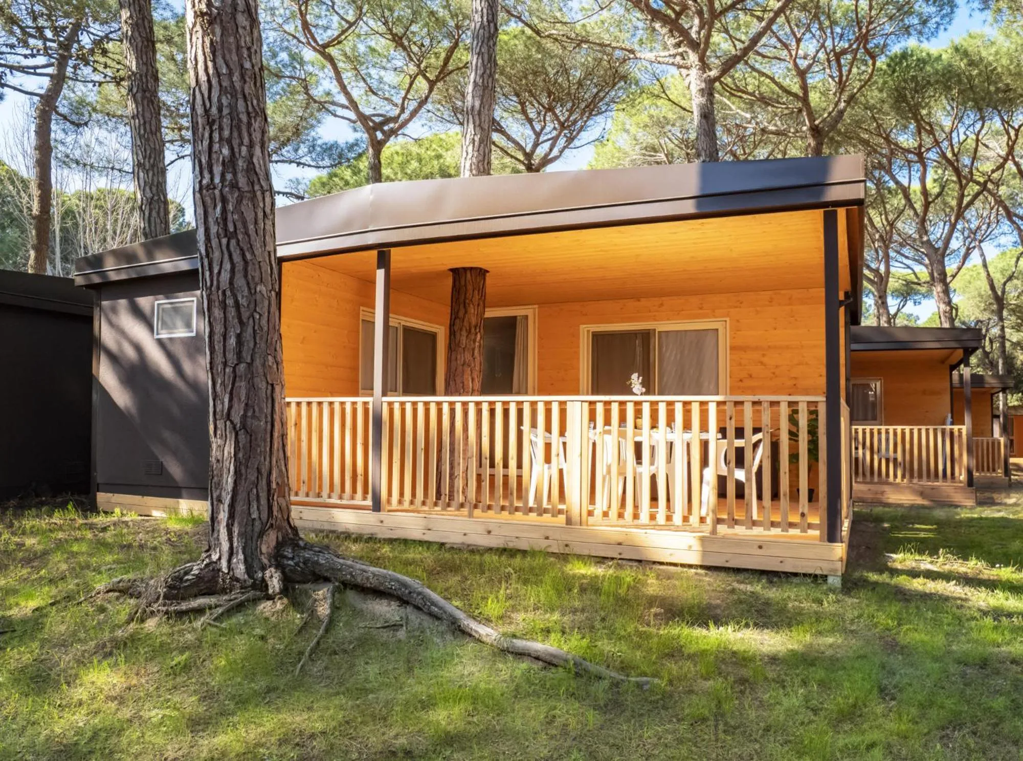 Property building in Club del Sole Spina Family Collection