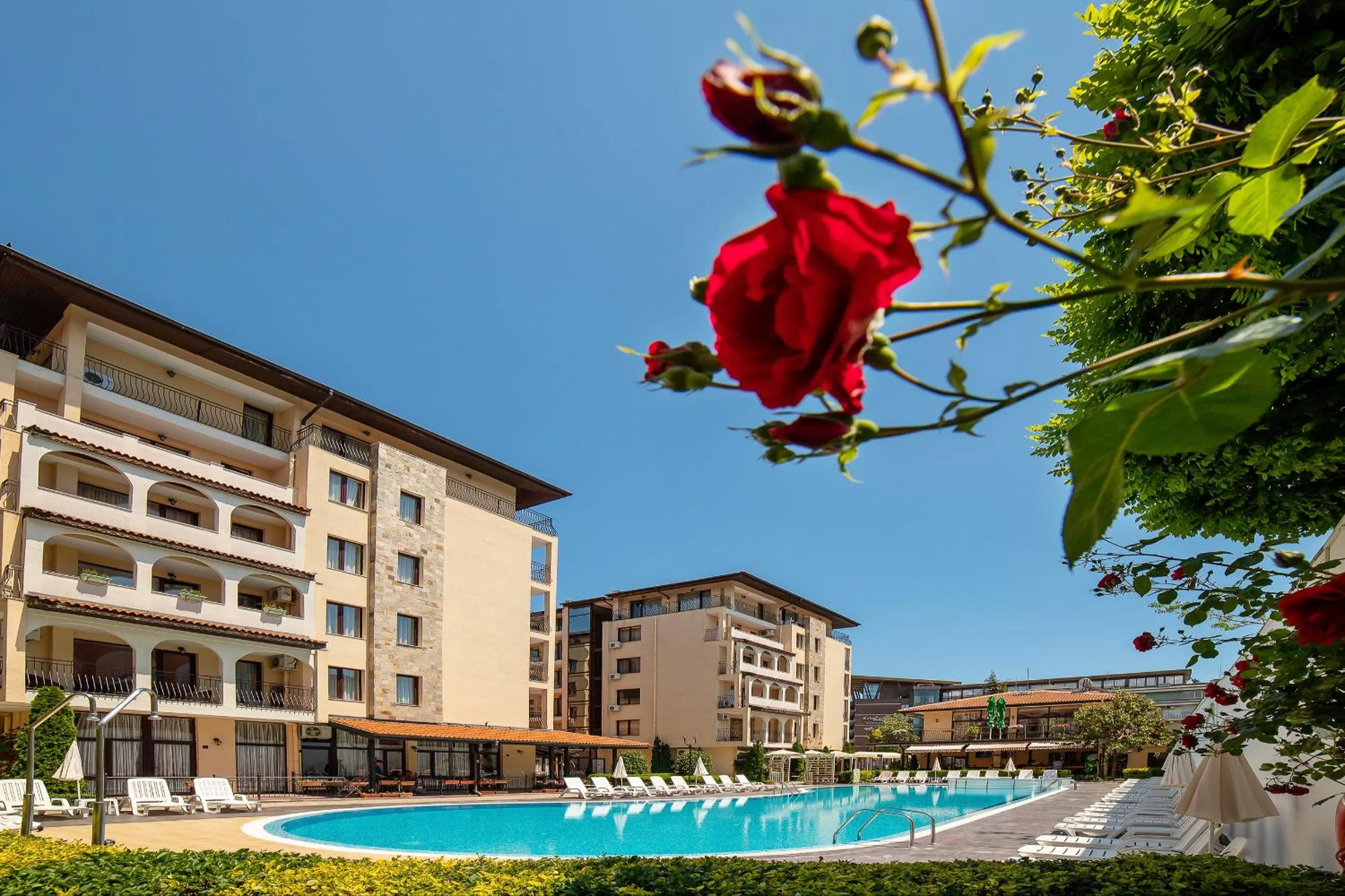 Swimming pool in Apartment Tourist Complex Rose Village