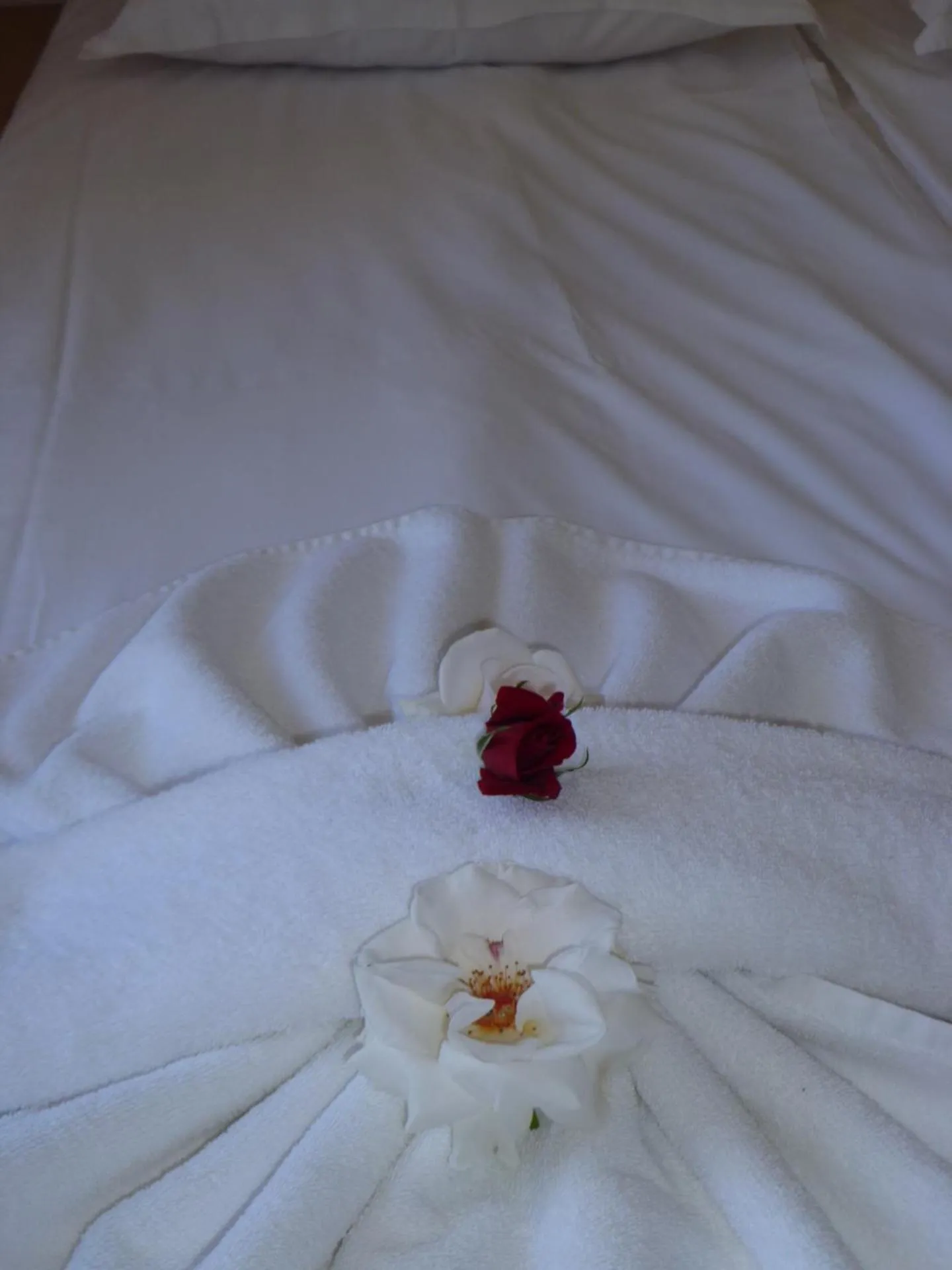 Bedroom, Bed in Apartment Tourist Complex Rose Village