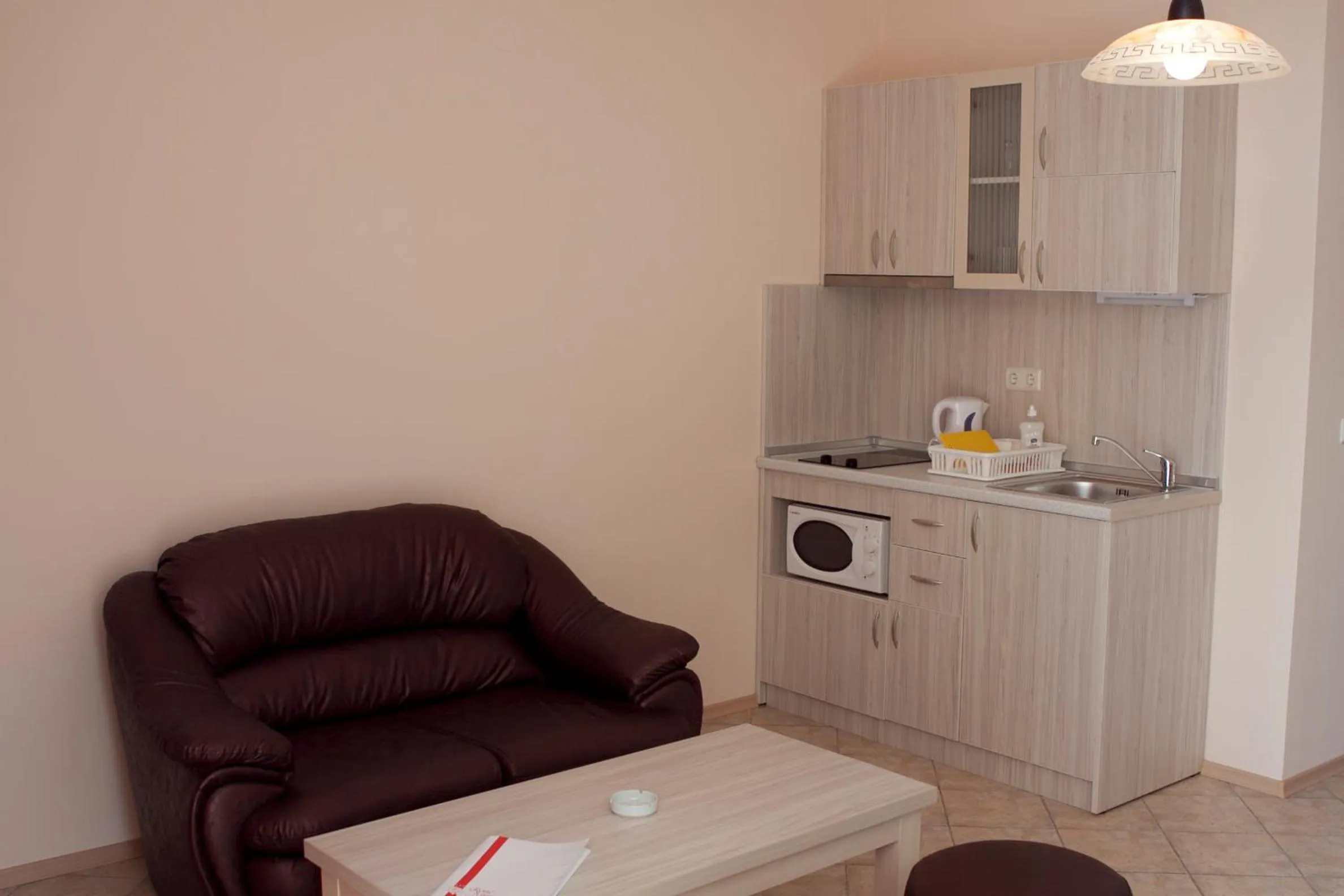 Kitchen or kitchenette in Apartment Tourist Complex Rose Village