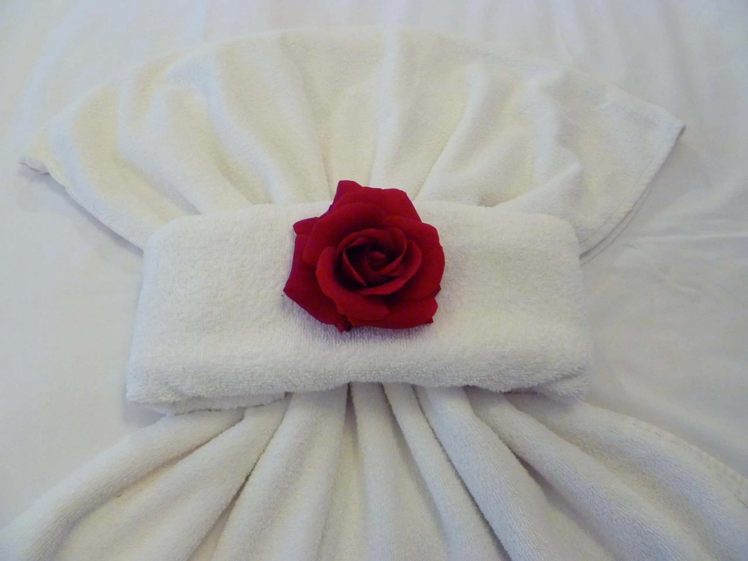 towels in Apartment Tourist Complex Rose Village