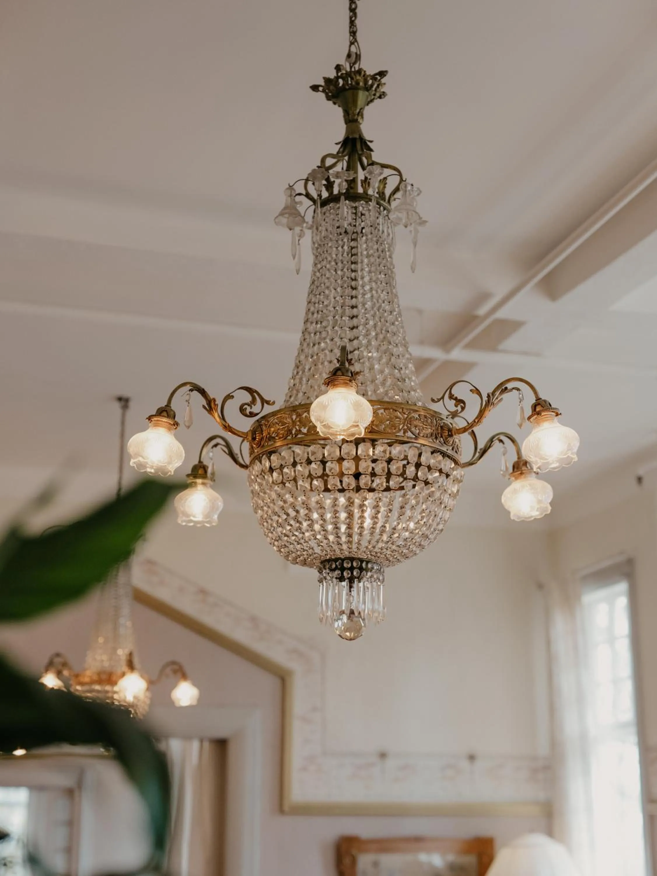 Area and facilities in Mössebergs Kurort