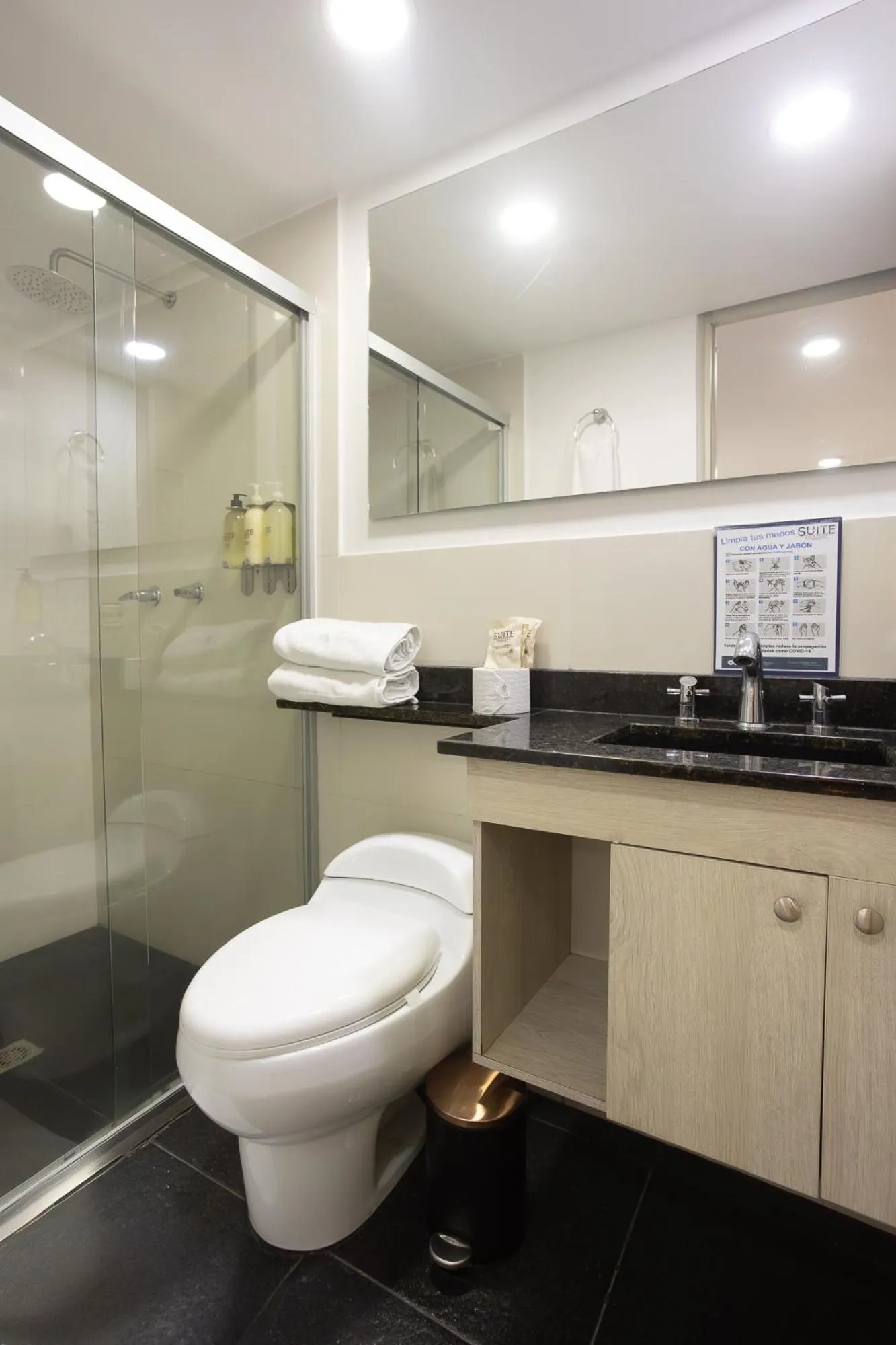 Shower in Hotel Suite Comfort