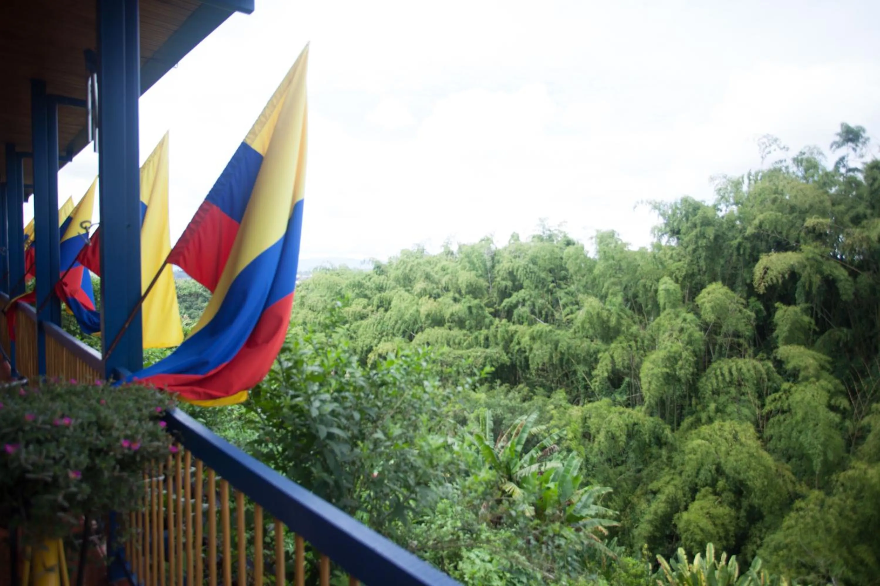 Natural landscape in Finca Hotel Los Girasoles