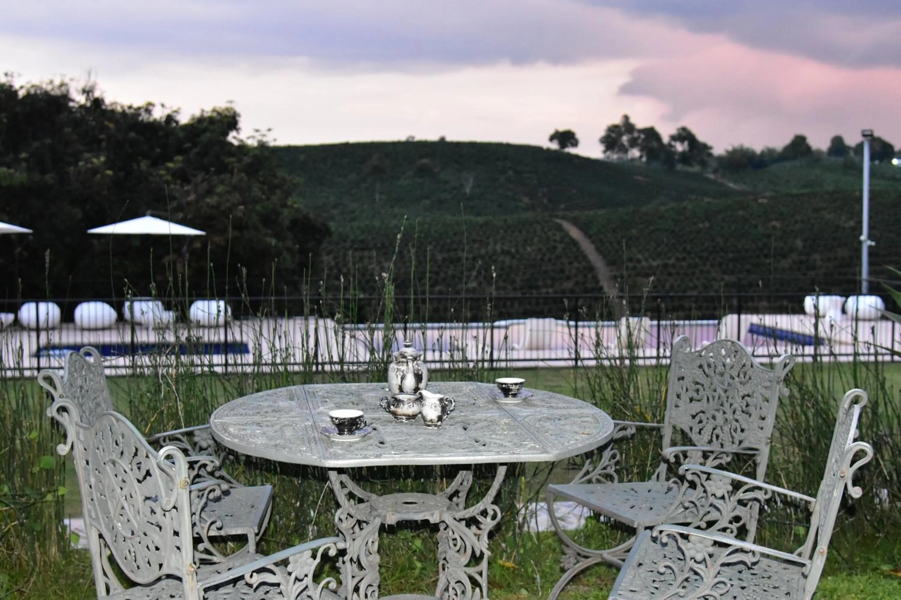 Natural landscape in Finca Hotel Los Girasoles