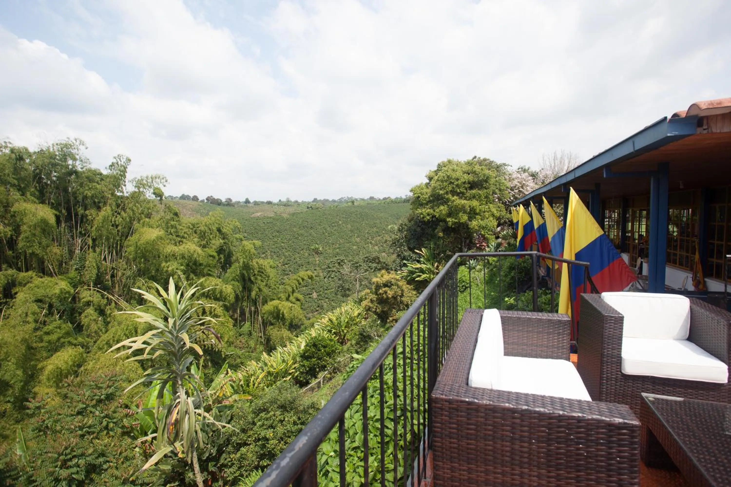 Natural landscape in Finca Hotel Los Girasoles