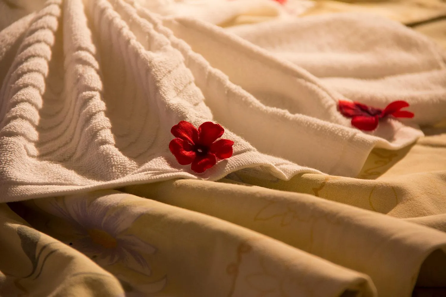 Kamchia Park Hotel - All Inclusive & Free Parking