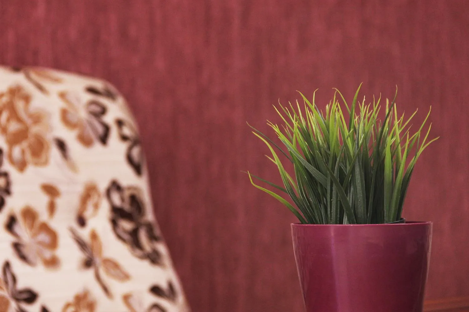 Kamchia Park Hotel - All Inclusive & Free Parking