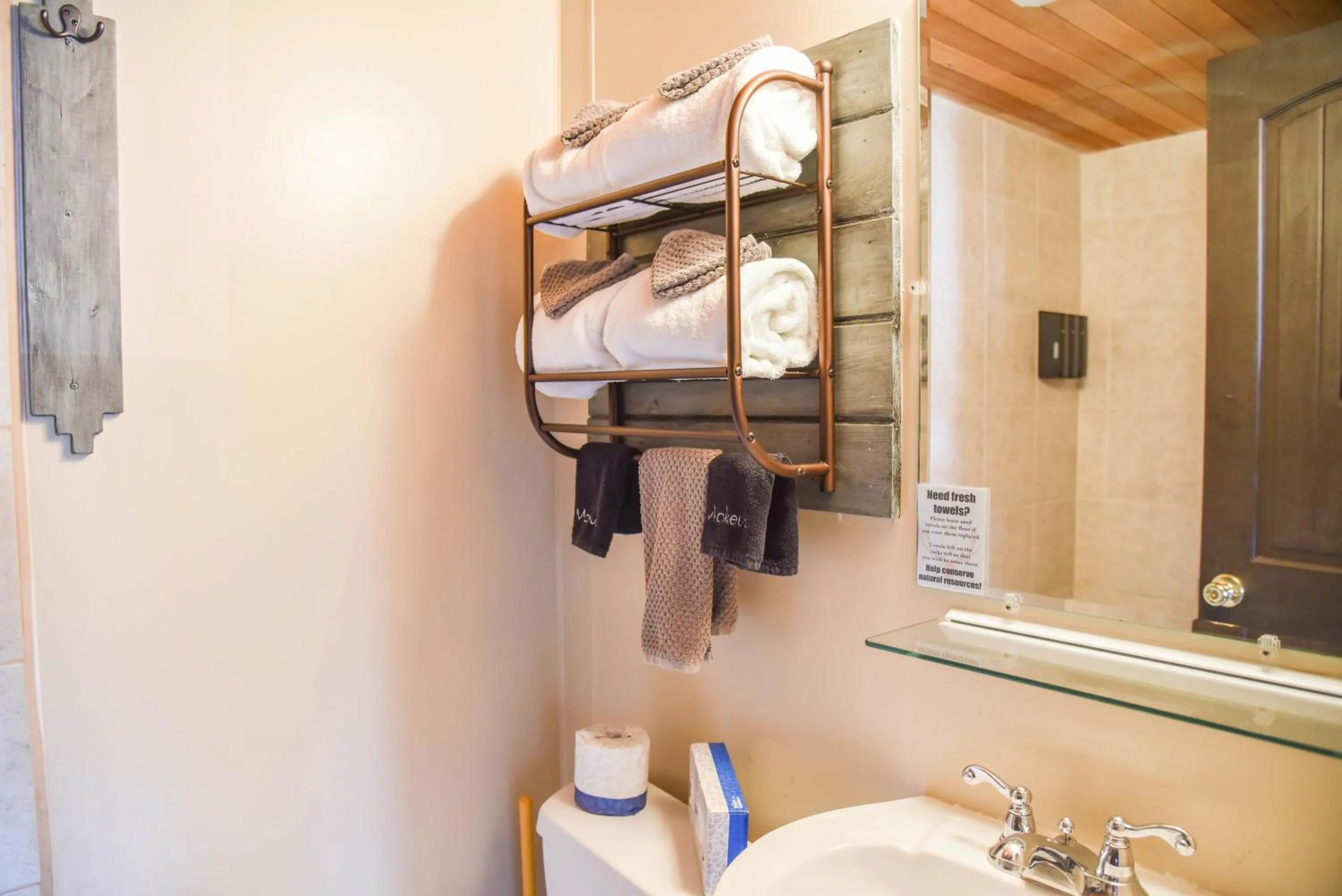 Shower in Alpine Lodge Red River