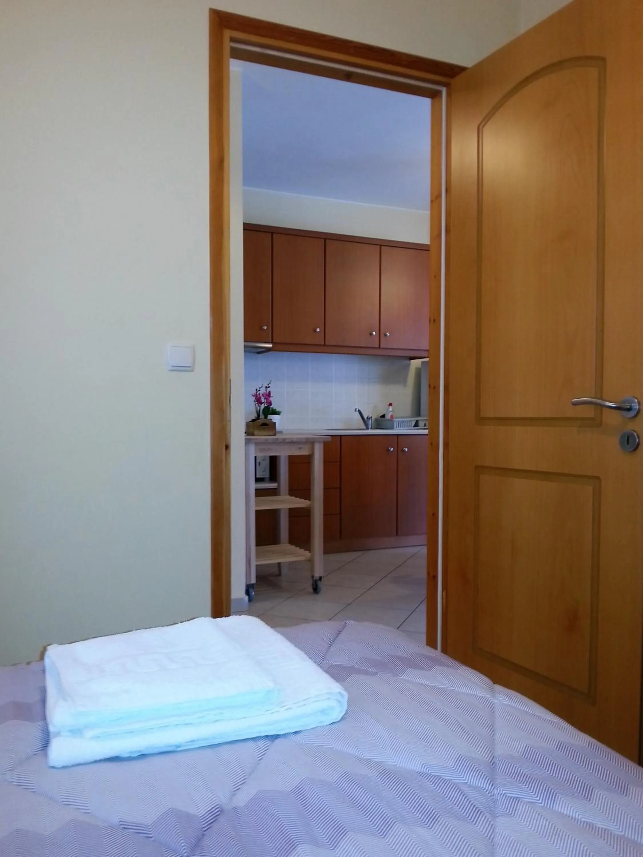 Photo of the whole room, Bed in Vasilis Studios