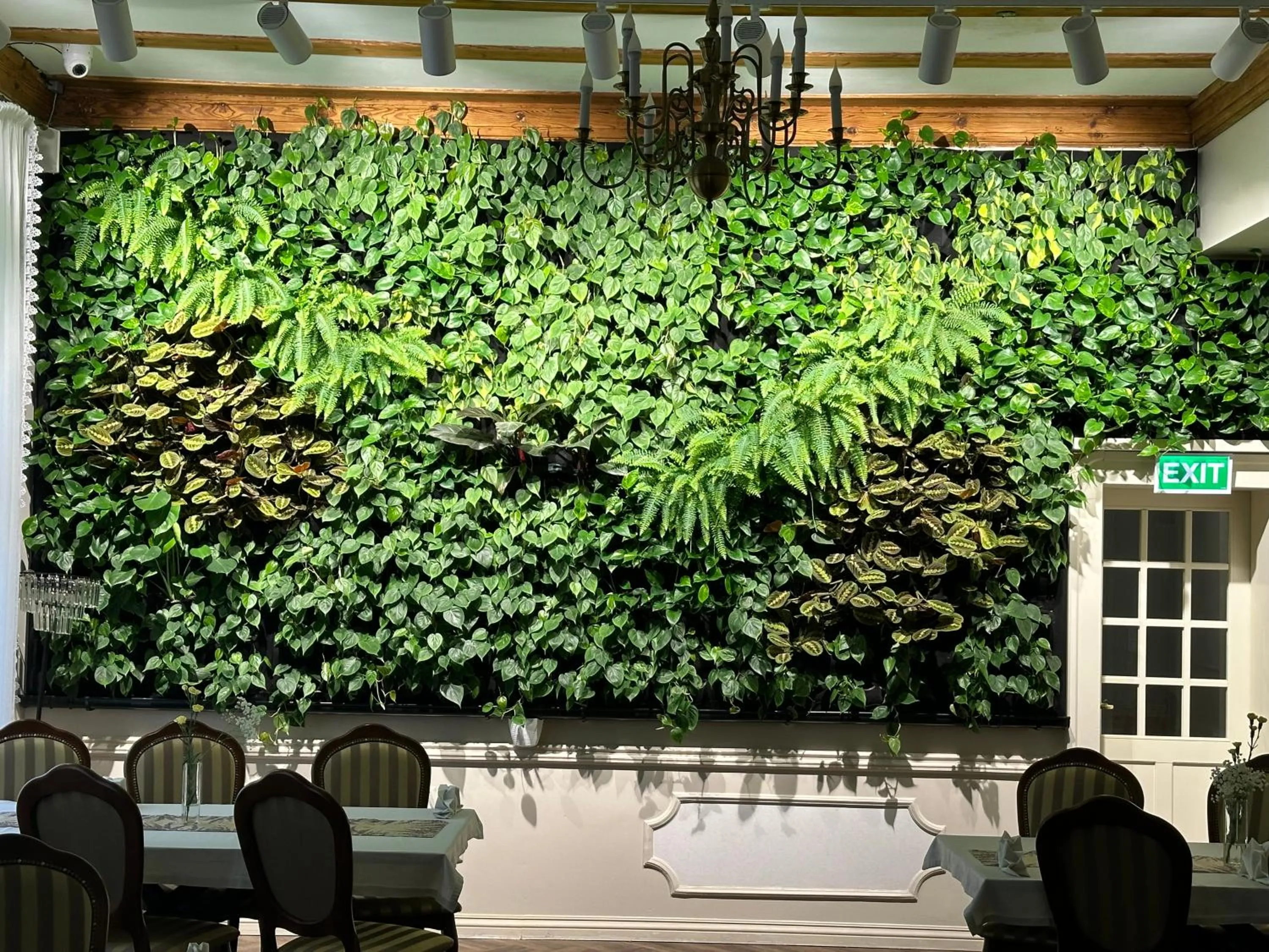 Restaurant/places to eat in Hotel Willa Starosty