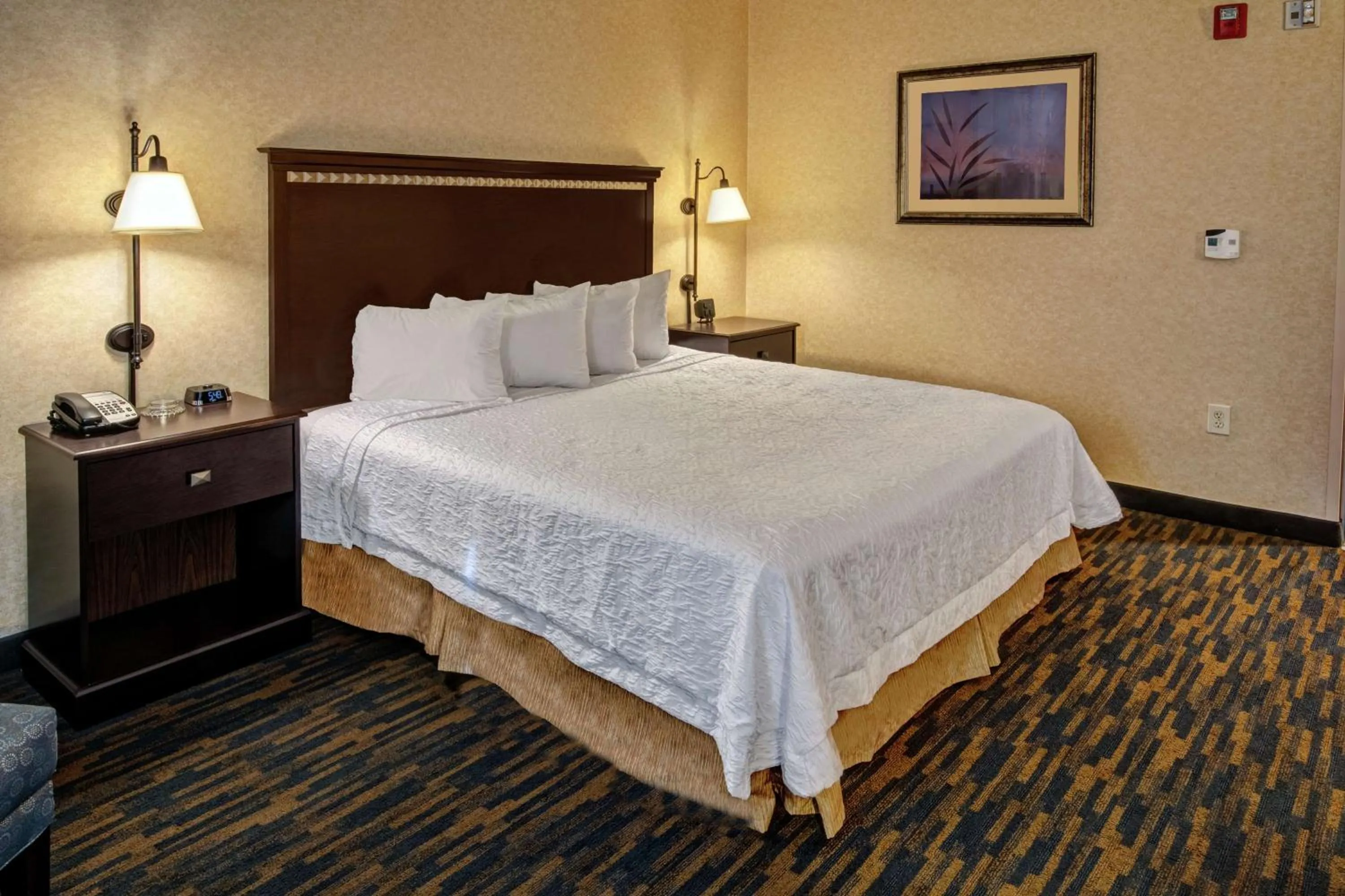 Bed in Hampton Inn Roanoke Rapids