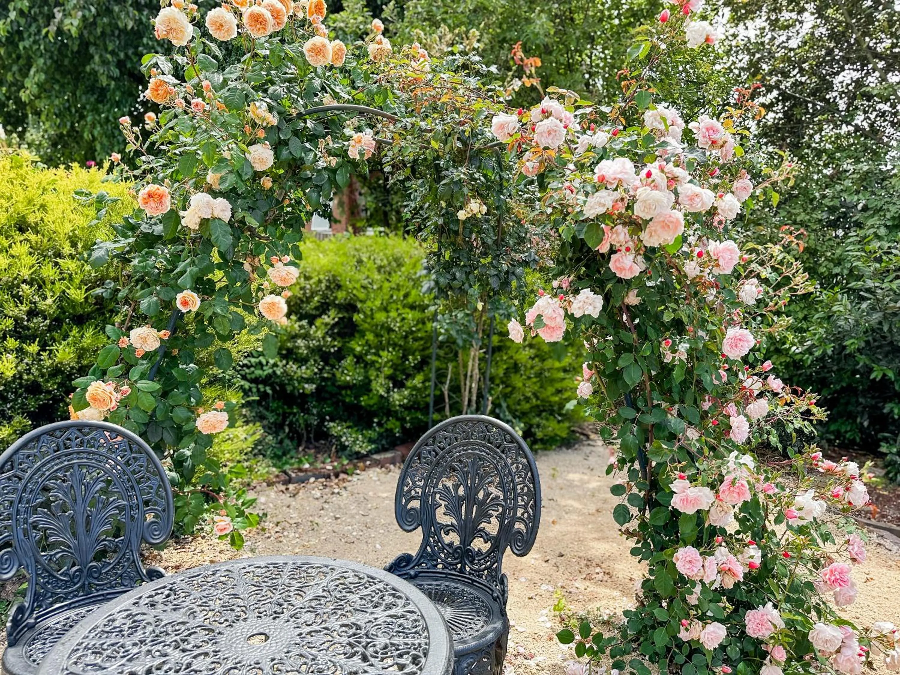 Garden in The Dragonfly Inn