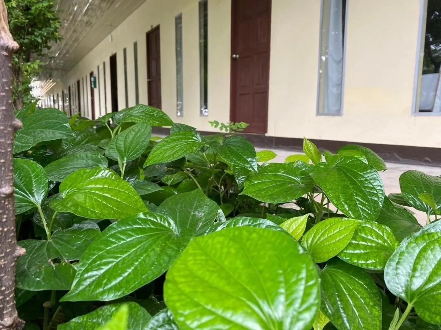 Sasi Nonthaburi Hotel