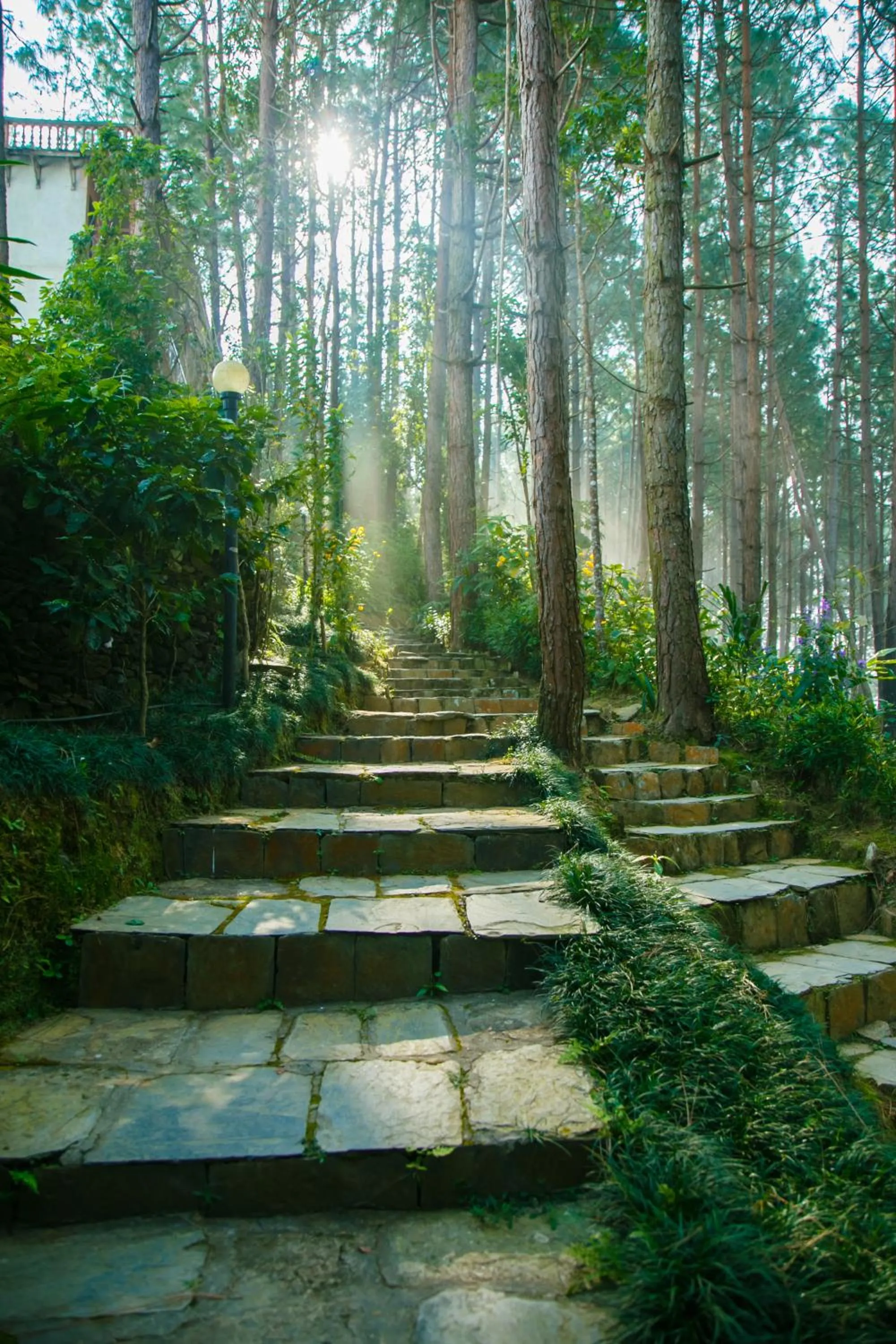 Garden in Bandipur Mountain Resort