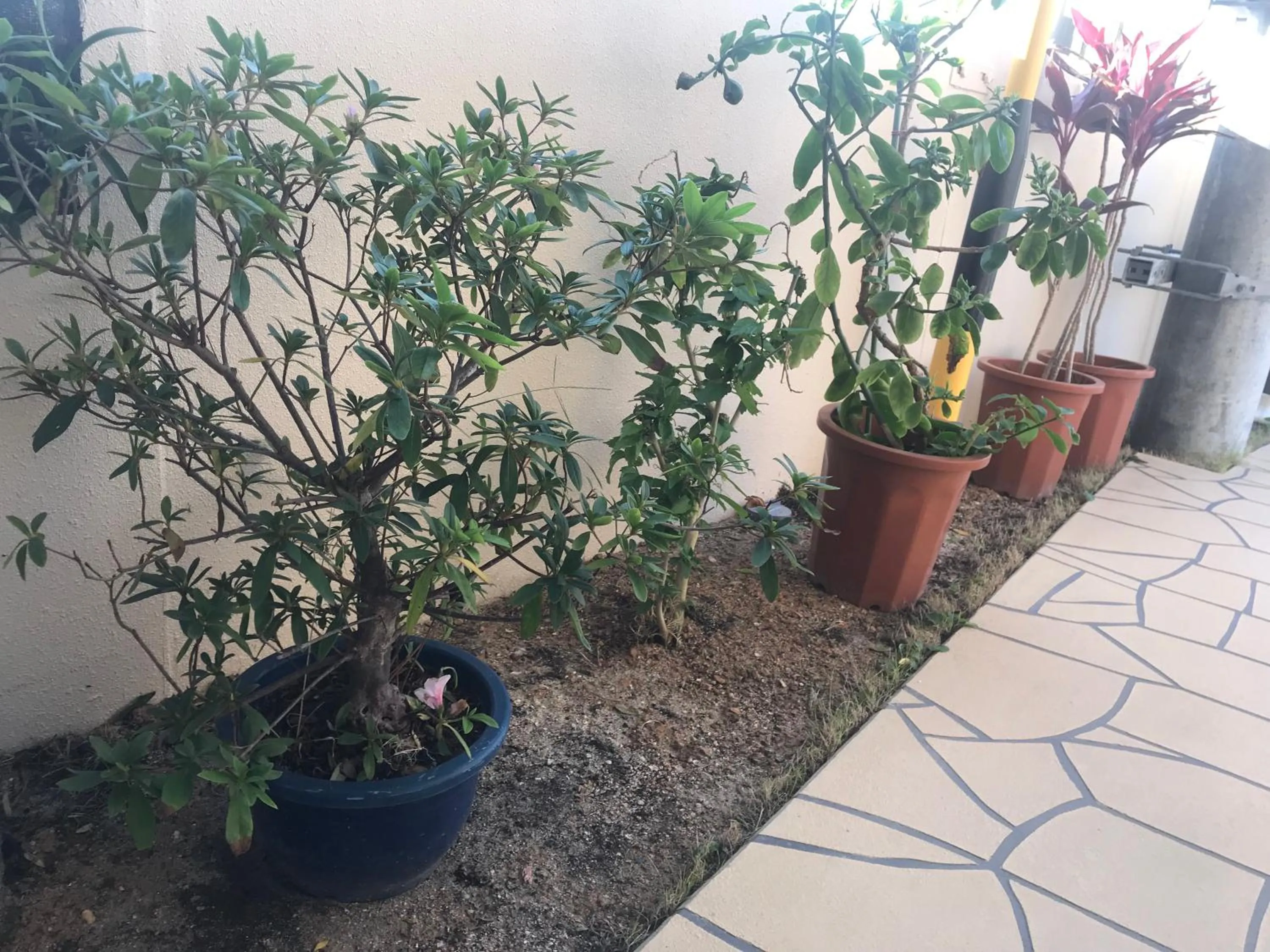 Area and facilities in Weekly Harbourview Mansion Ginowan