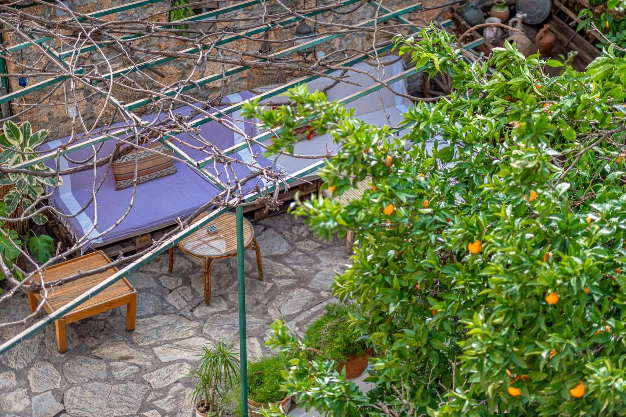 Garden in Villa Tulipan