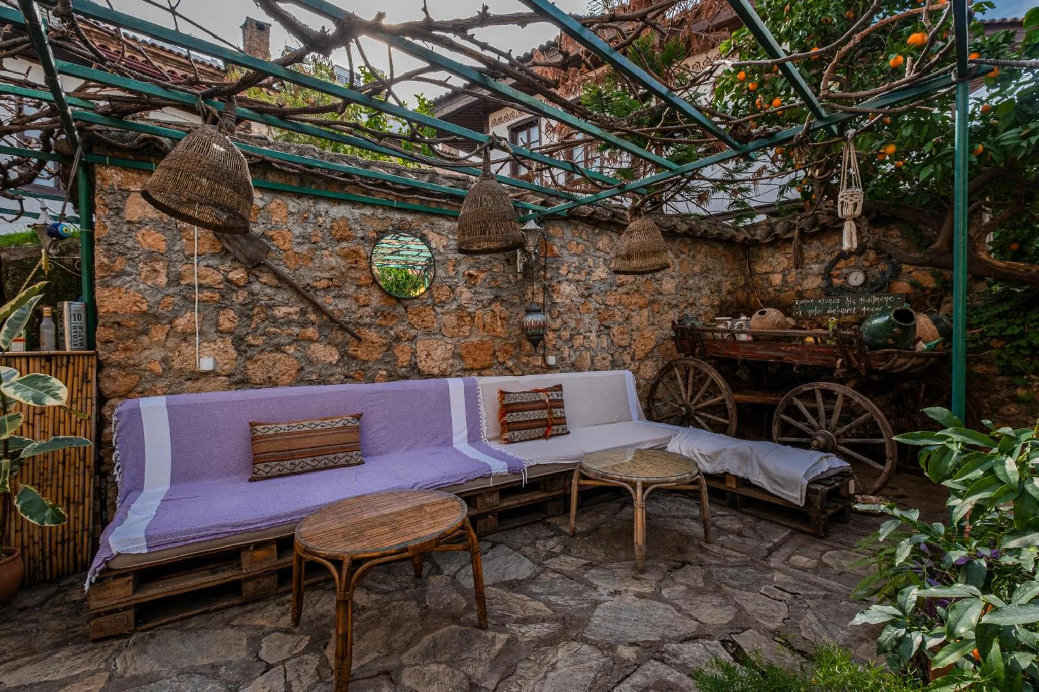 Garden in Villa Tulipan