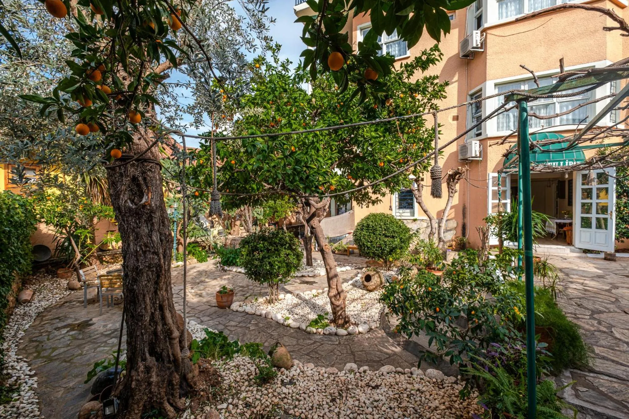 Garden in Villa Tulipan