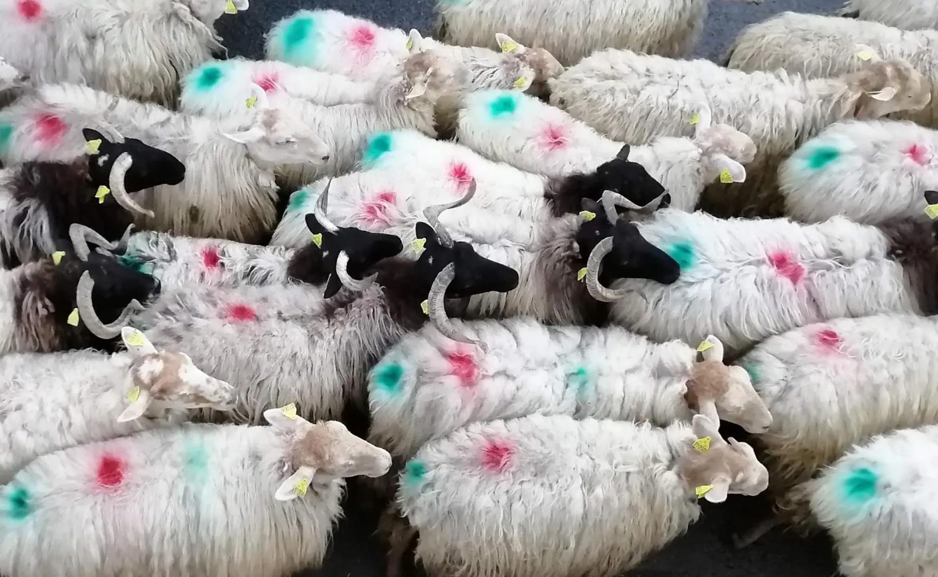 Logis Hotel Xoko-Goxoa