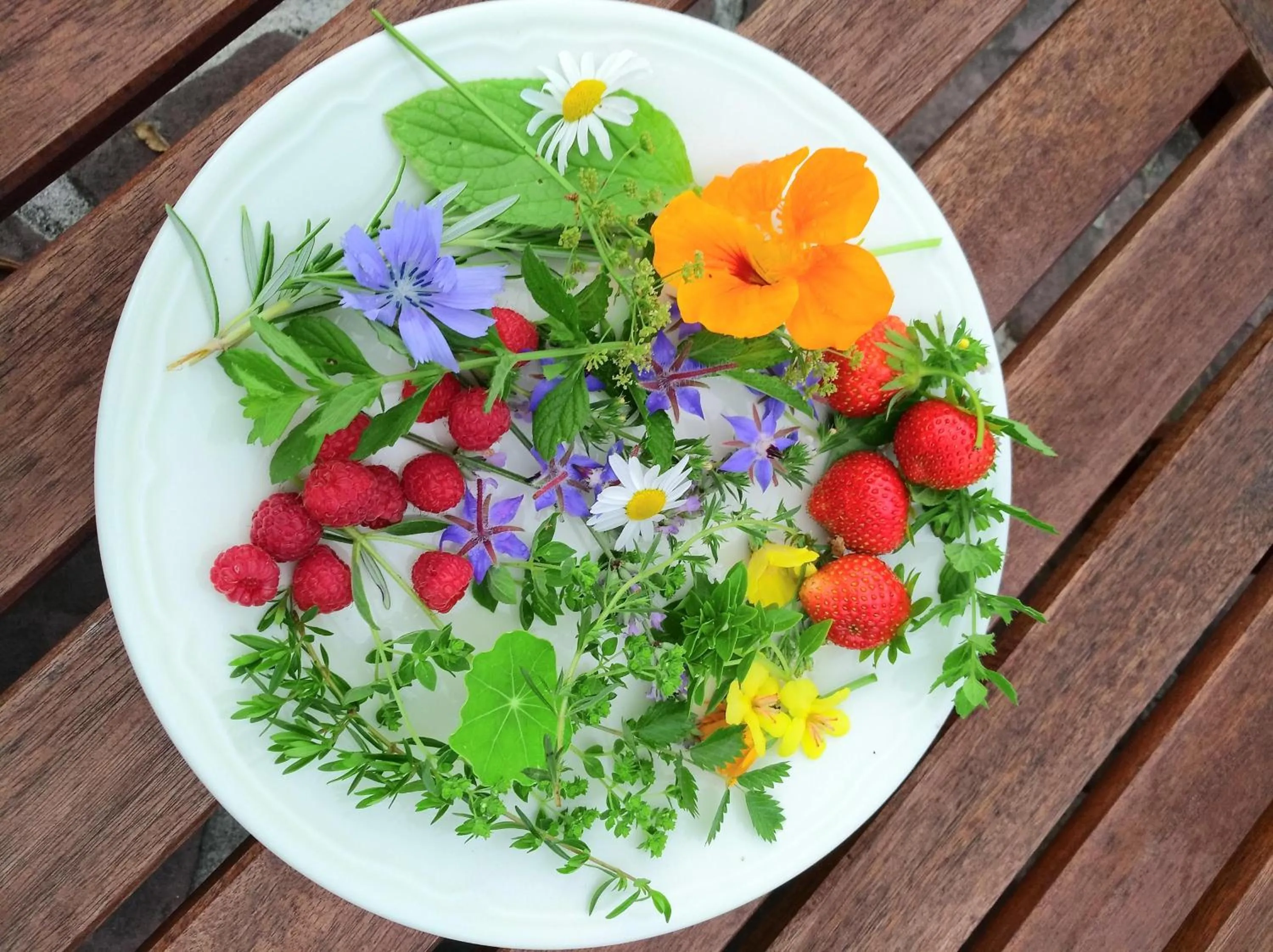 Restaurant/places to eat in Logis Hotel Xoko-Goxoa