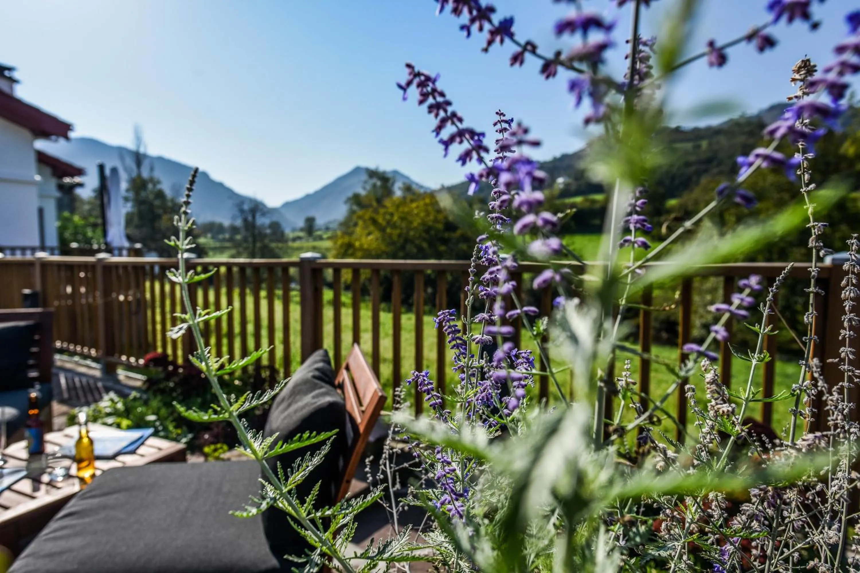 Patio in Logis Hotel Xoko-Goxoa