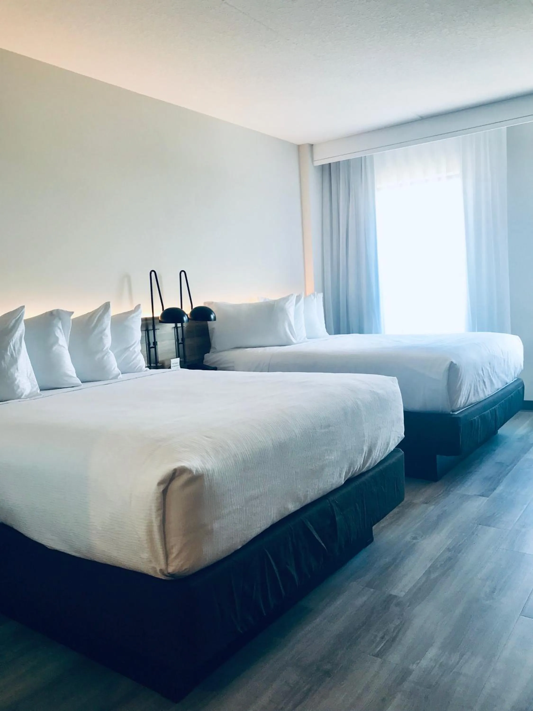 Bed in Wyndham Garden Ft Lauderdale Airport & Cruise Port