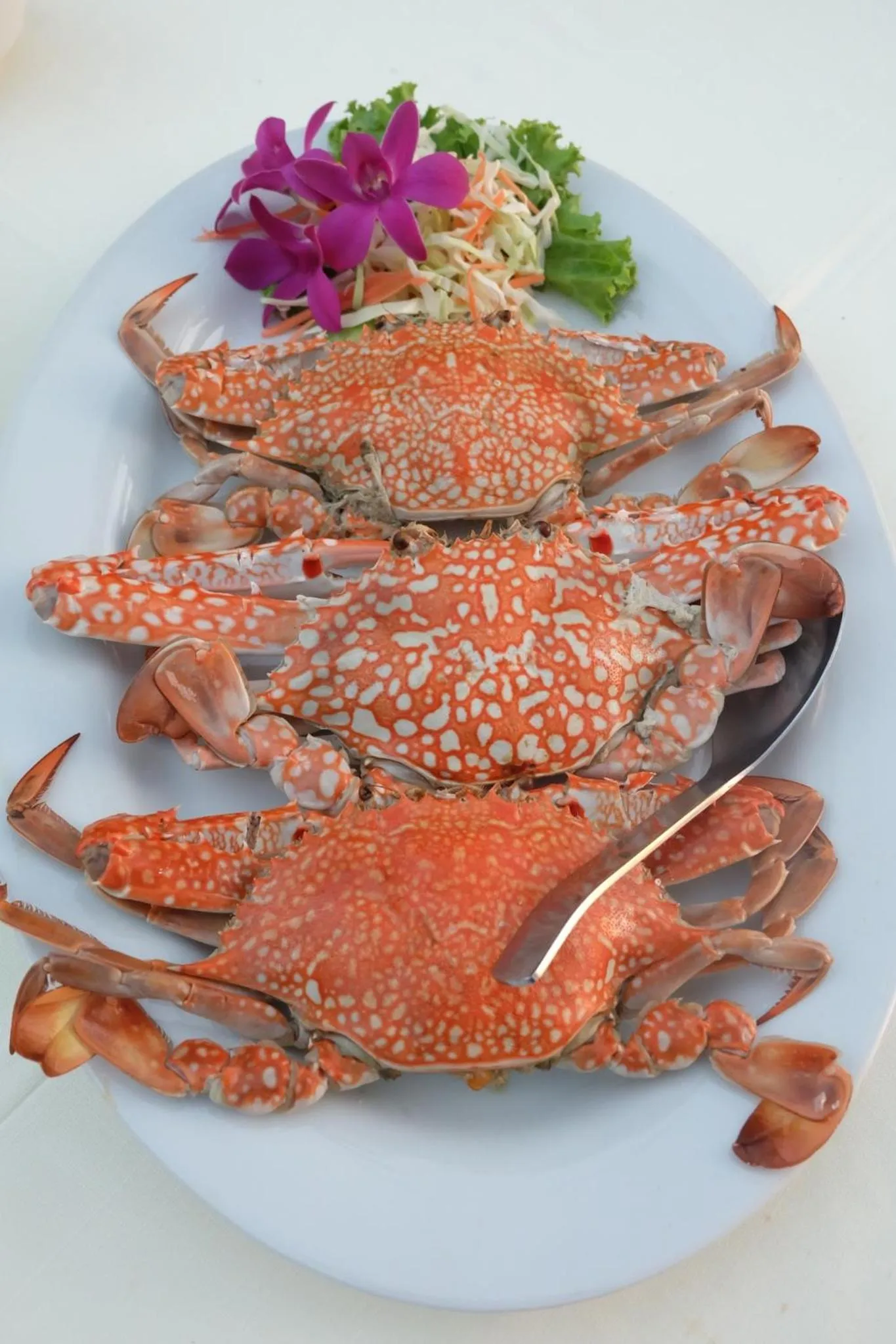 Food in Pakmeng Resort