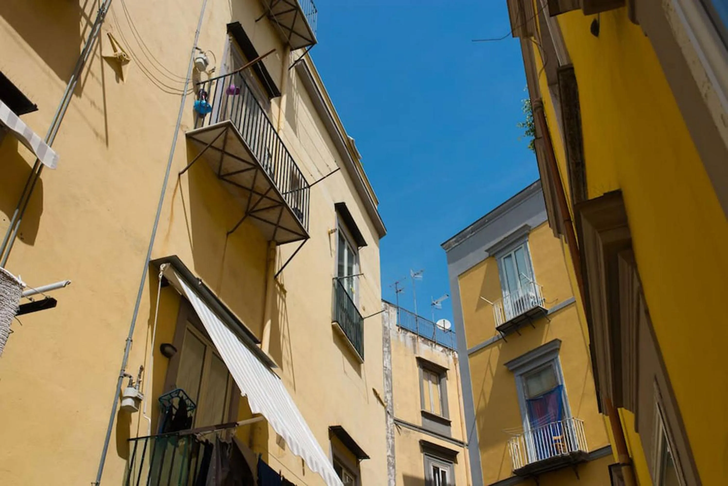 View (from property/room) in Viky's Home B&B