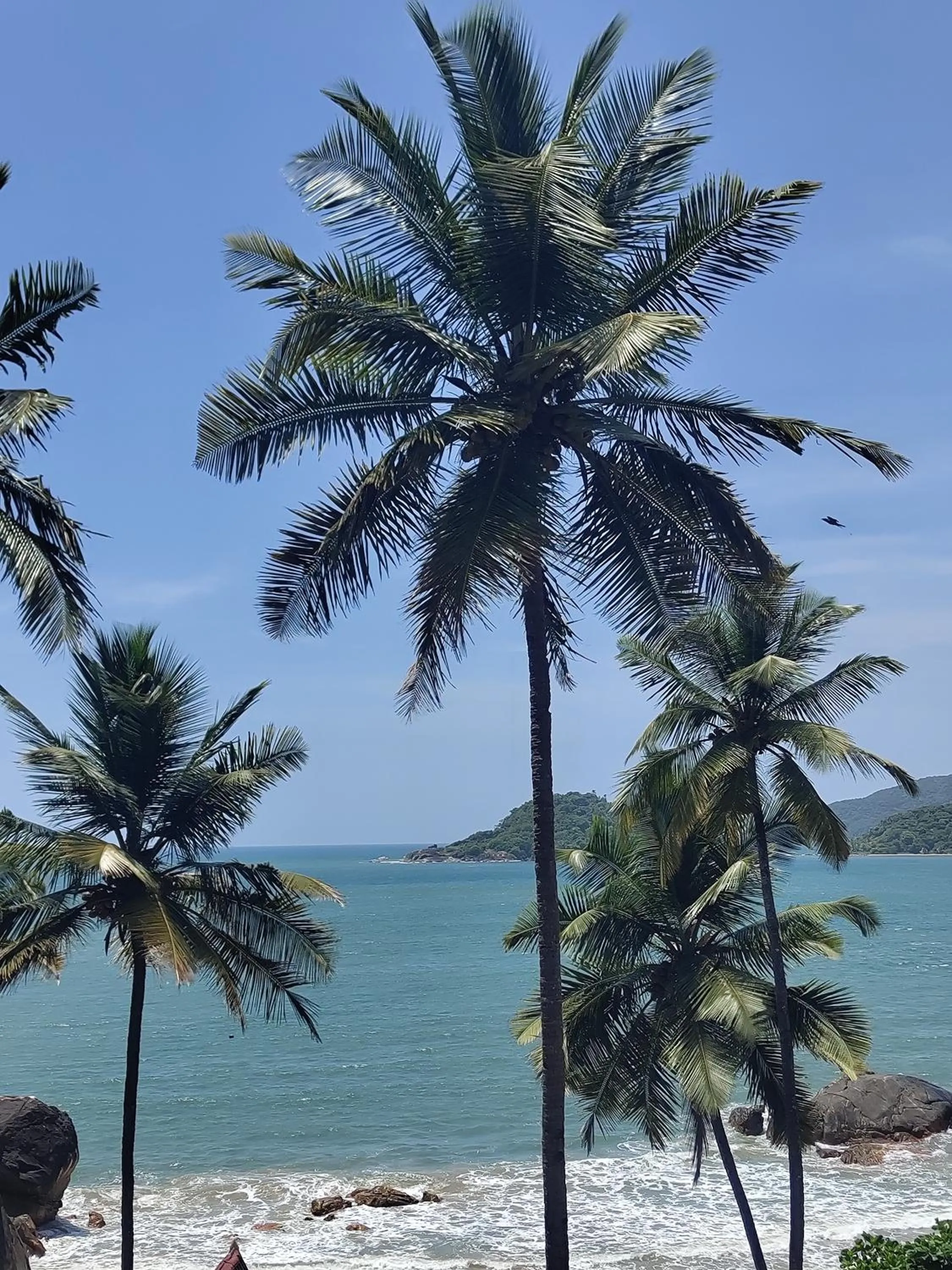 Hilltop Seaview Palolem Goa