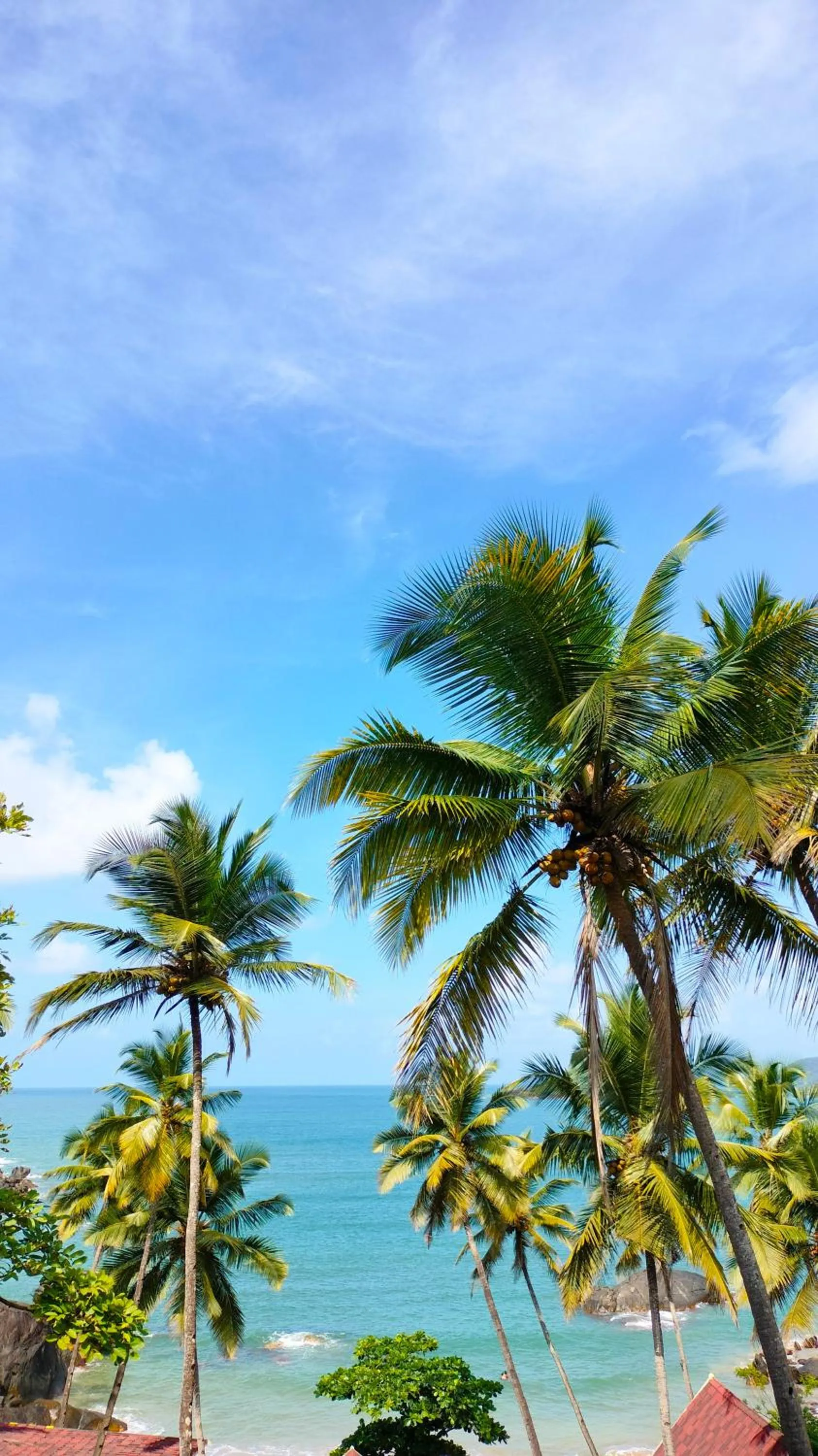 Hilltop Seaview Palolem Goa