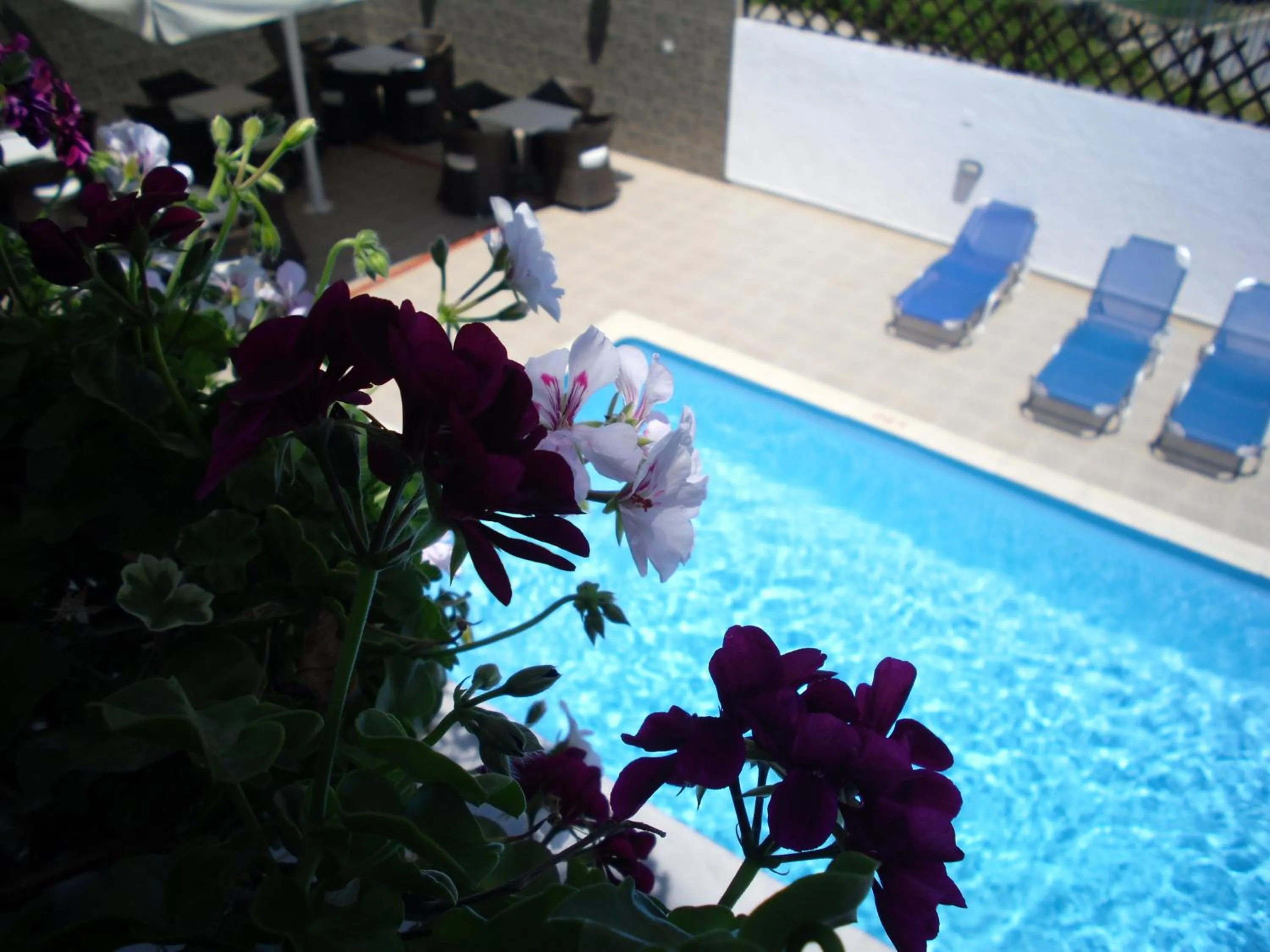 Swimming pool in Ifigenia Hotel