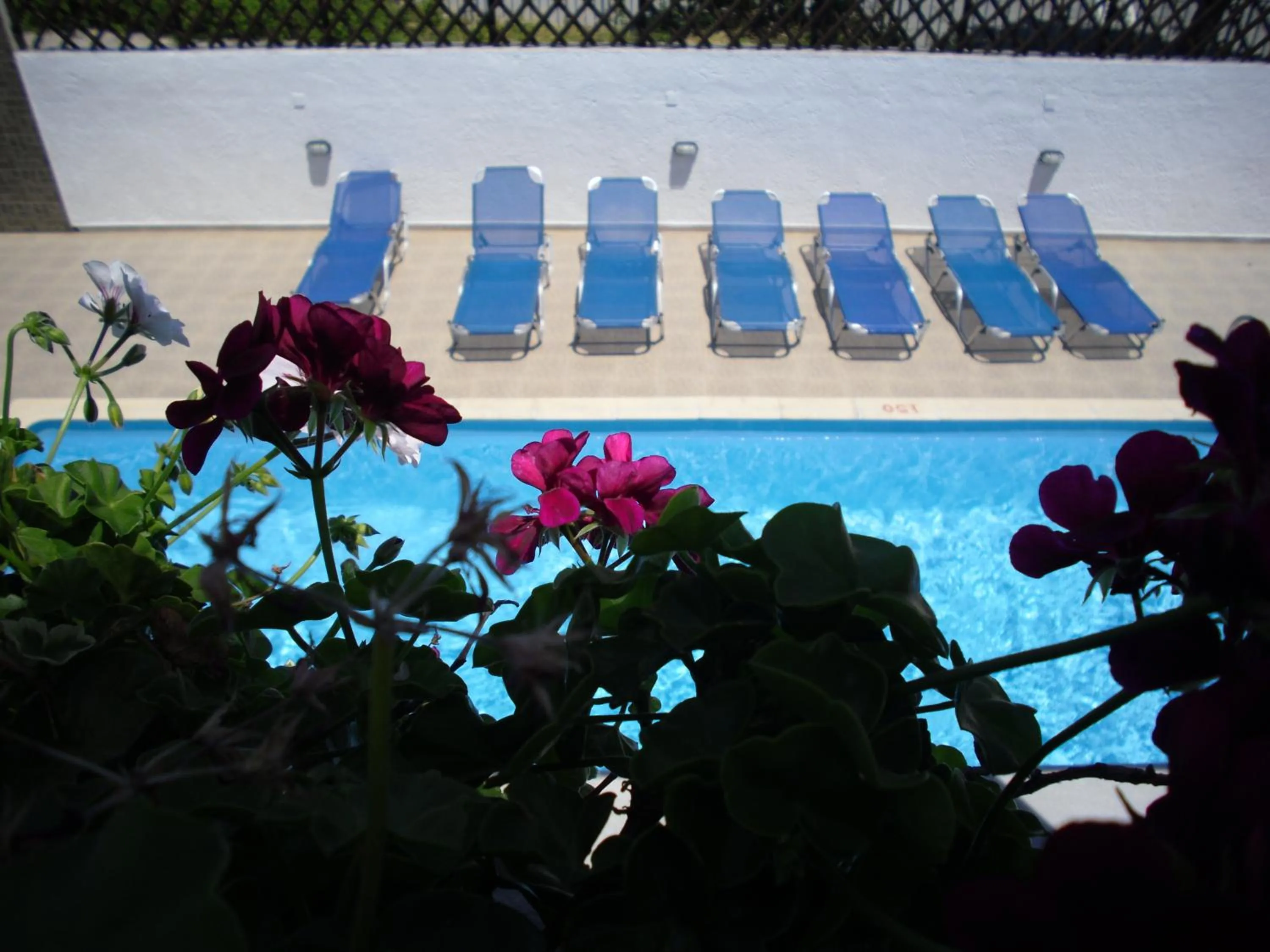 Swimming pool in Ifigenia Hotel