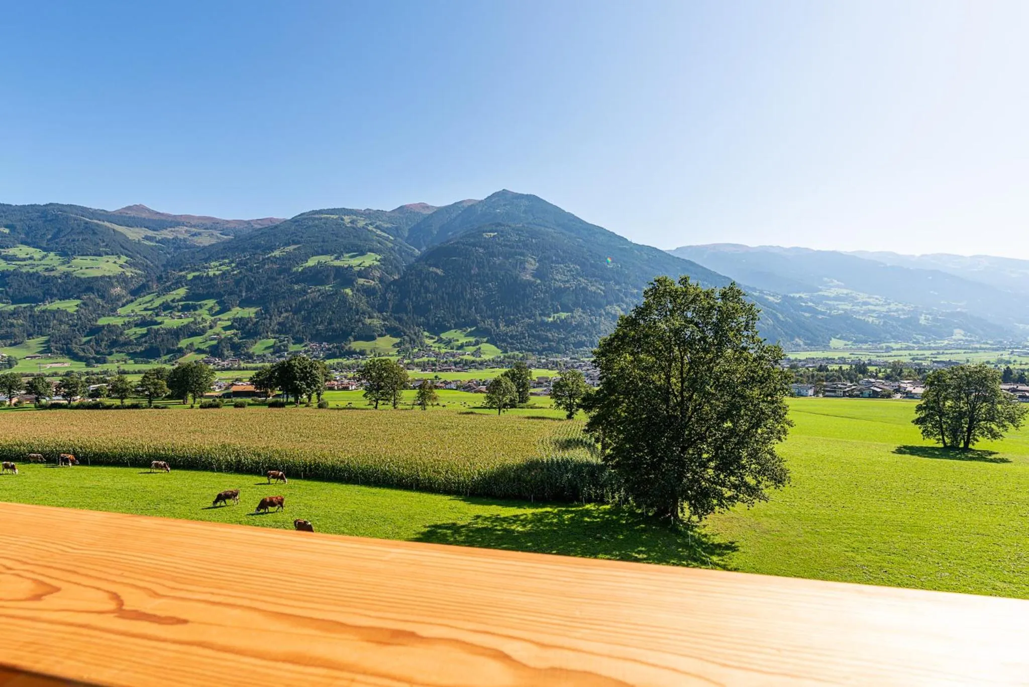 Garden view in Hotel Garni Romantik