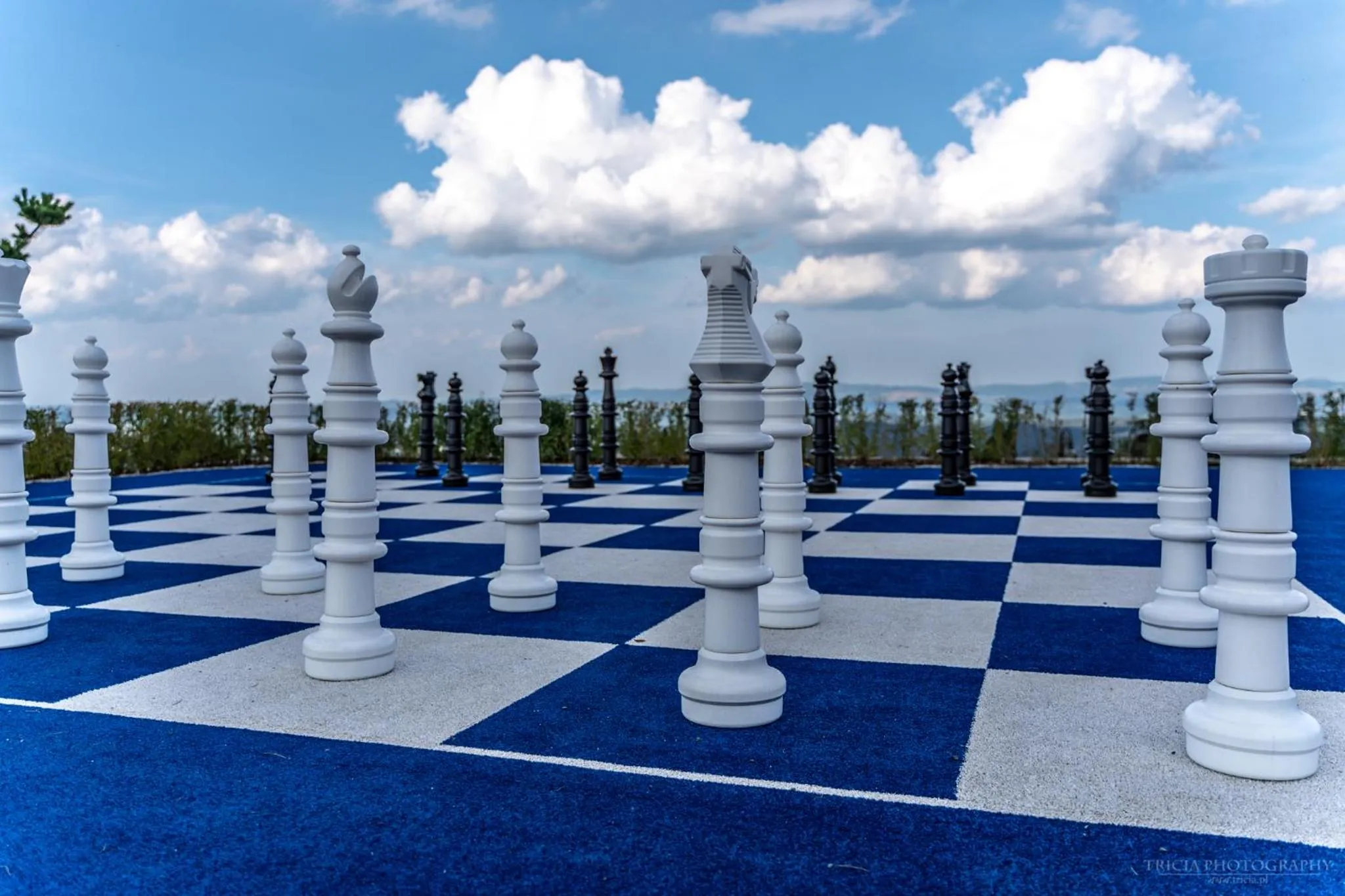 Day in Hotel Seidorf