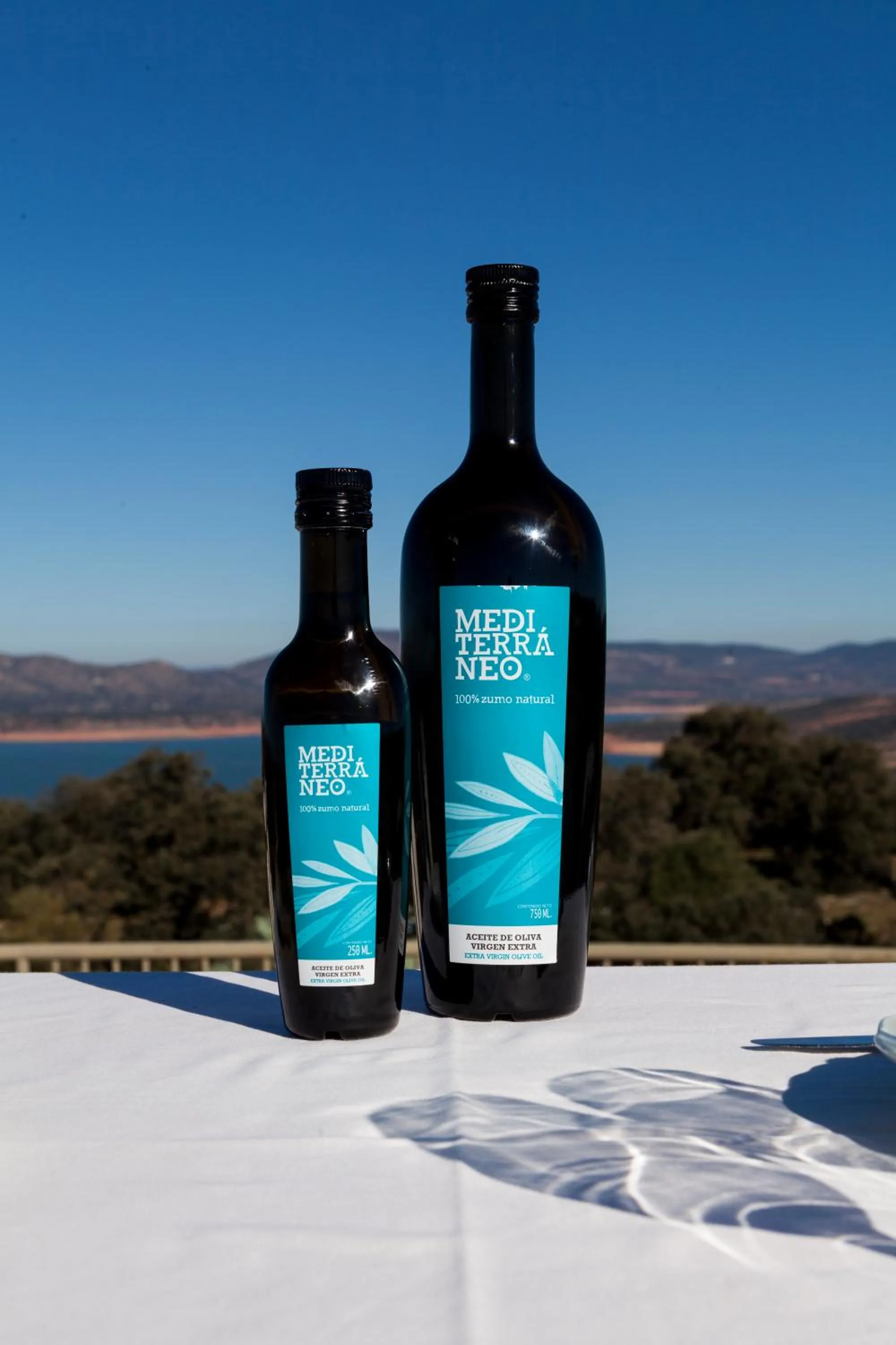 Hotel Paraje La Lambra