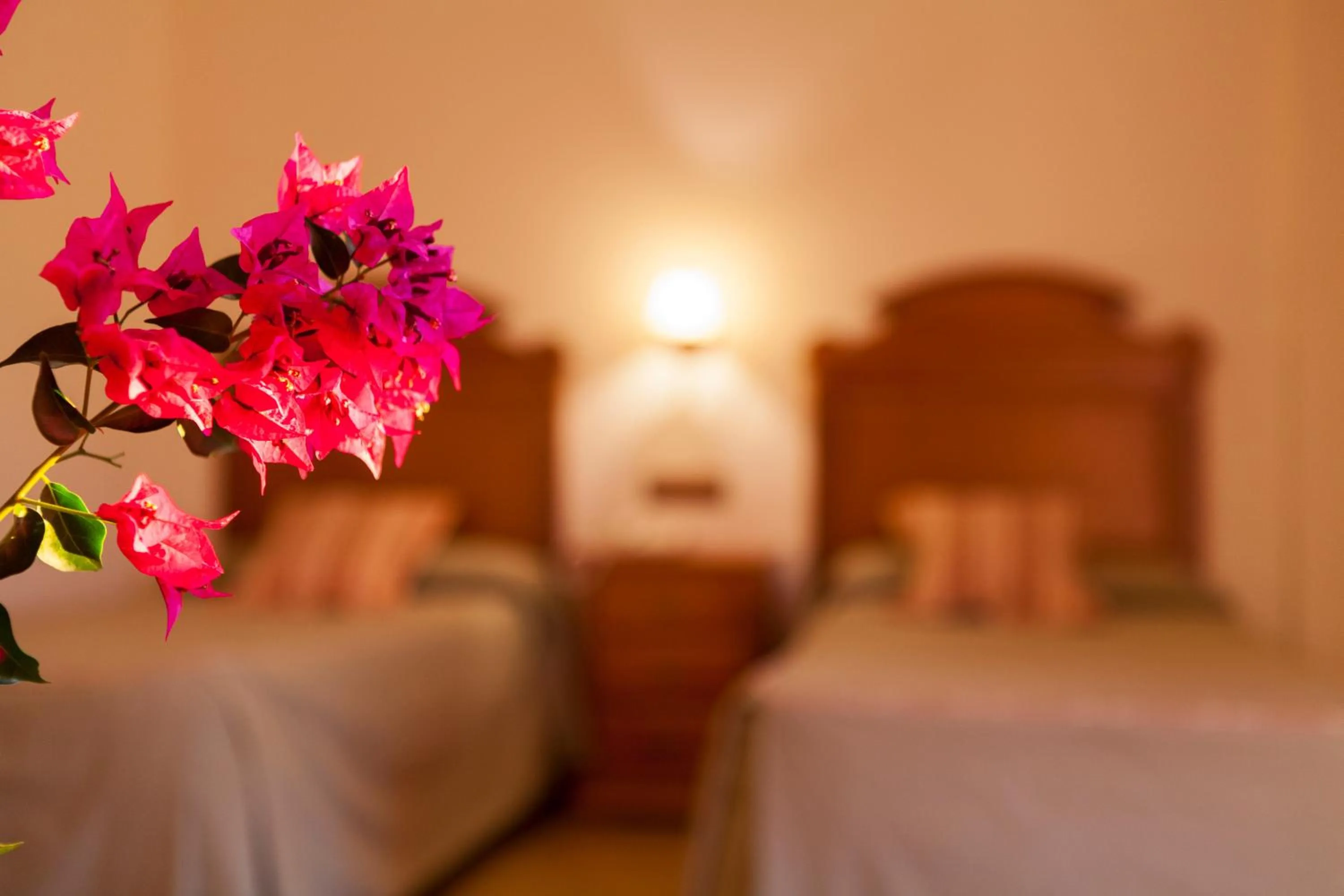 Bed in Hotel Paraje La Lambra